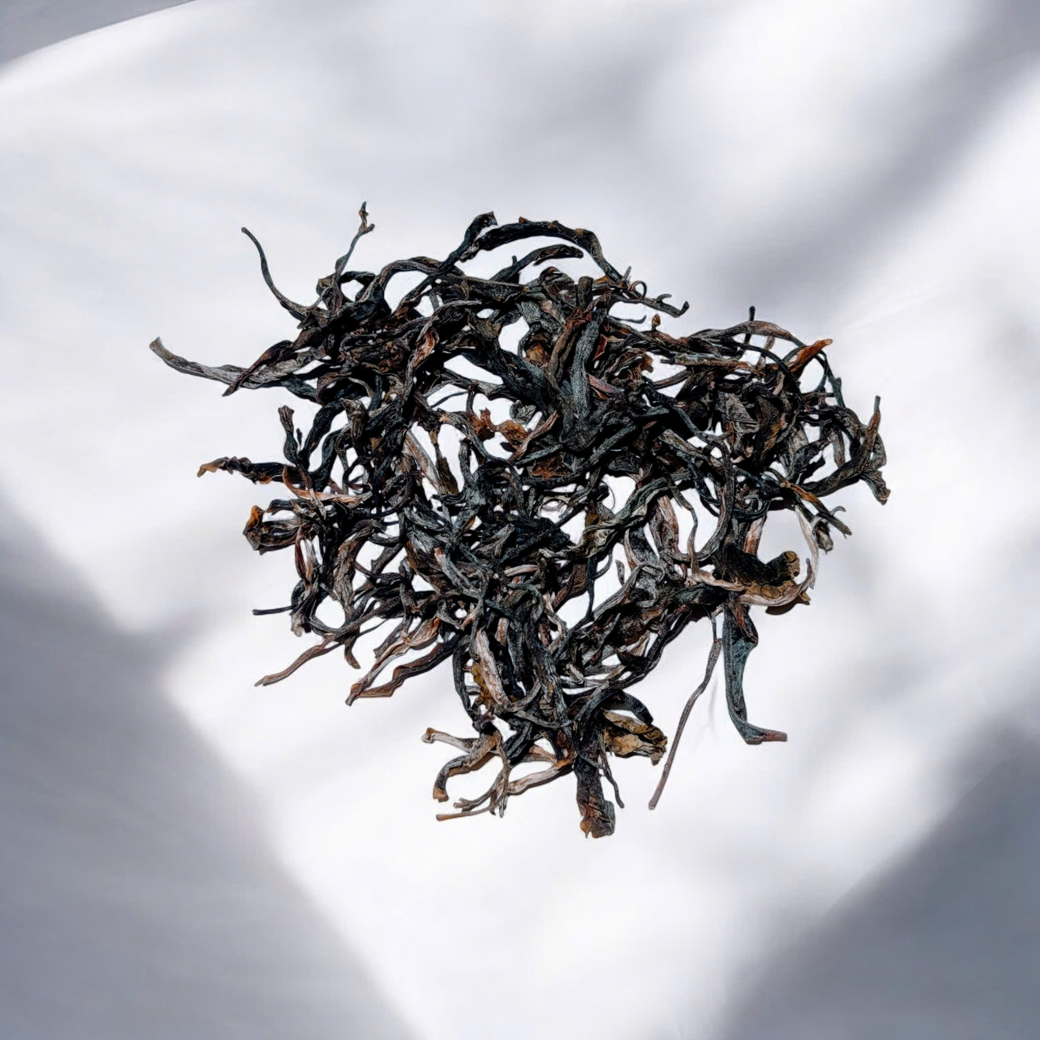 Phổ Nhĩ Sống Tủa Chùa