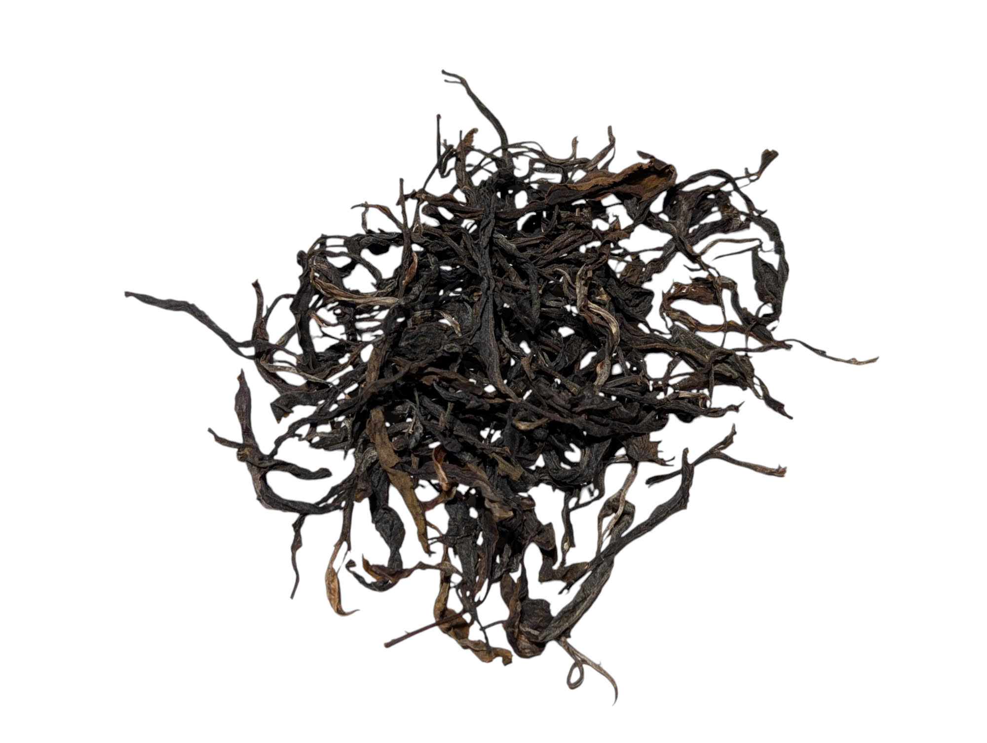 Phổ Nhĩ Sống Rừng Già