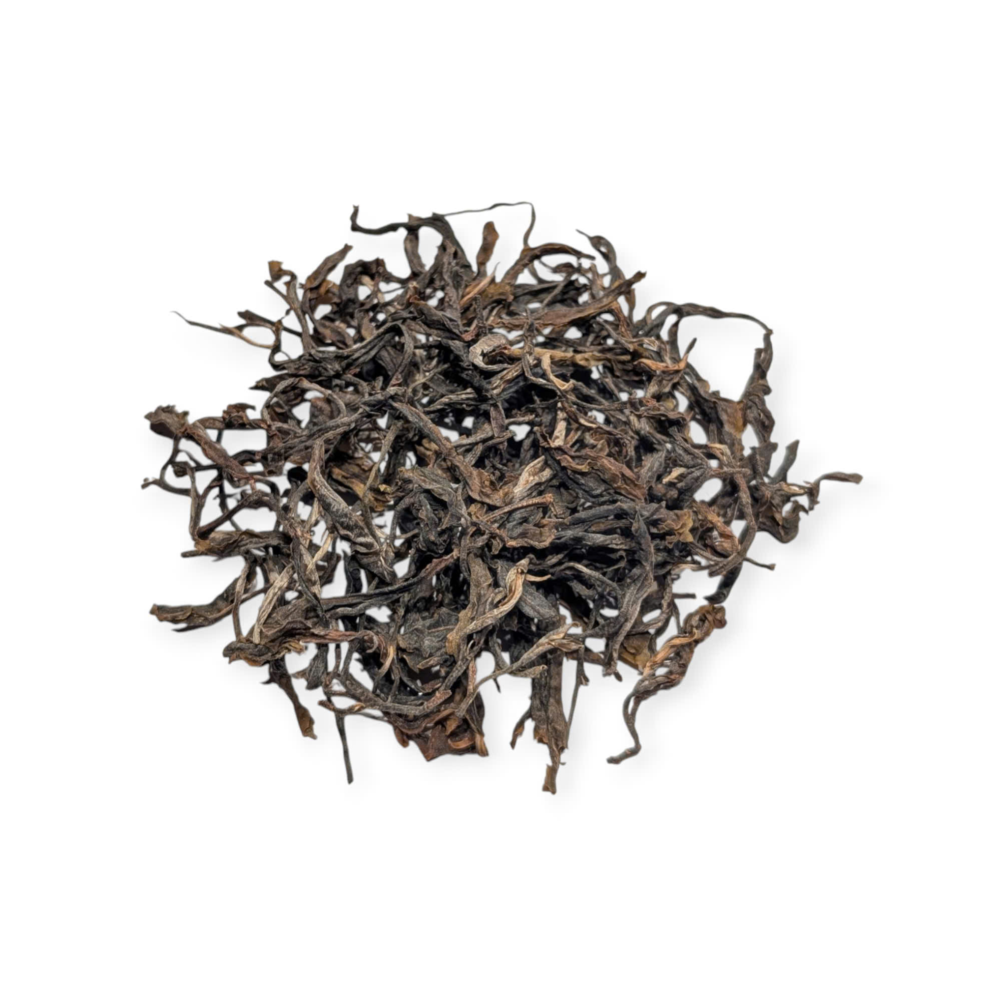 Phổ Nhĩ Sống Cổ thụ