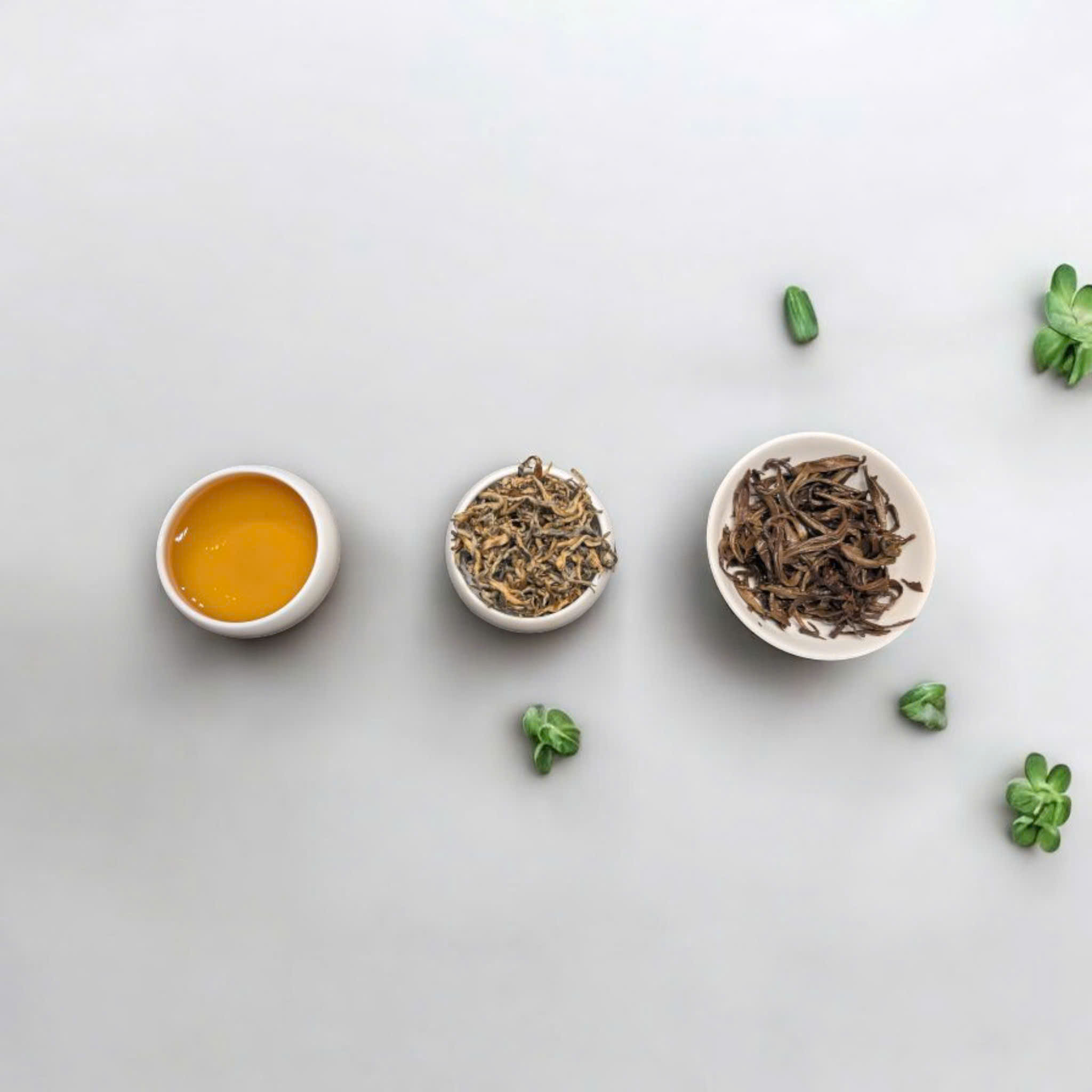 Hồng Trà Shan Rừng