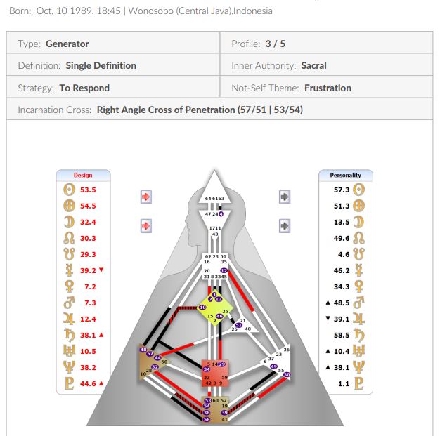 Basic HD Reading - 1:1 Interaction