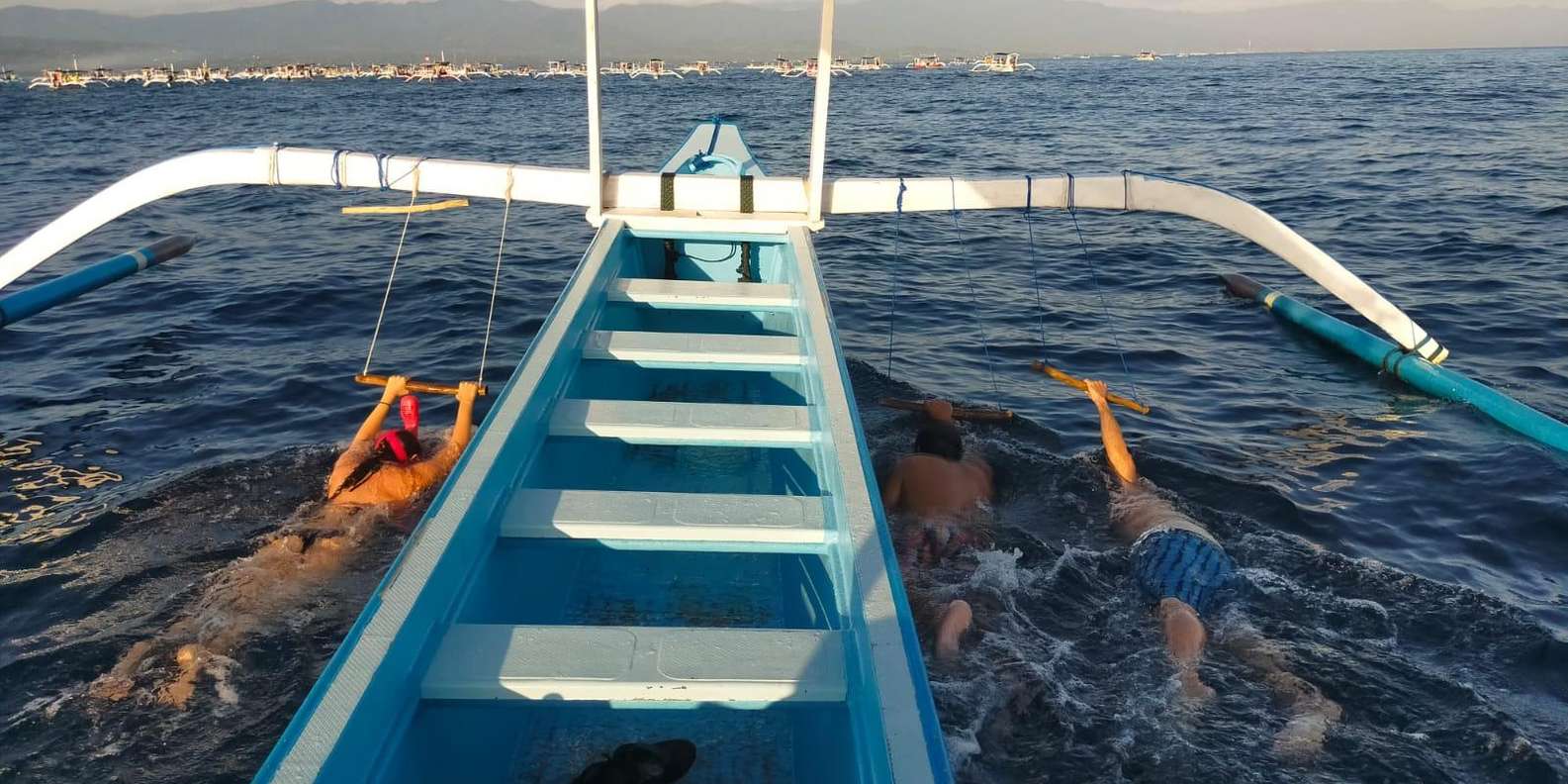 Sunset Dolphin Watching Lovina Reef