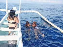 See and Swim with Dolphins Lovina Reef