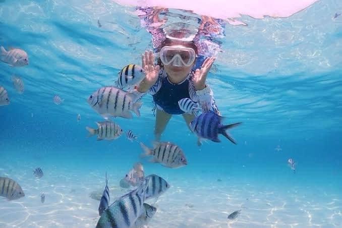 Snorkeling Adventure, Lovina Reef