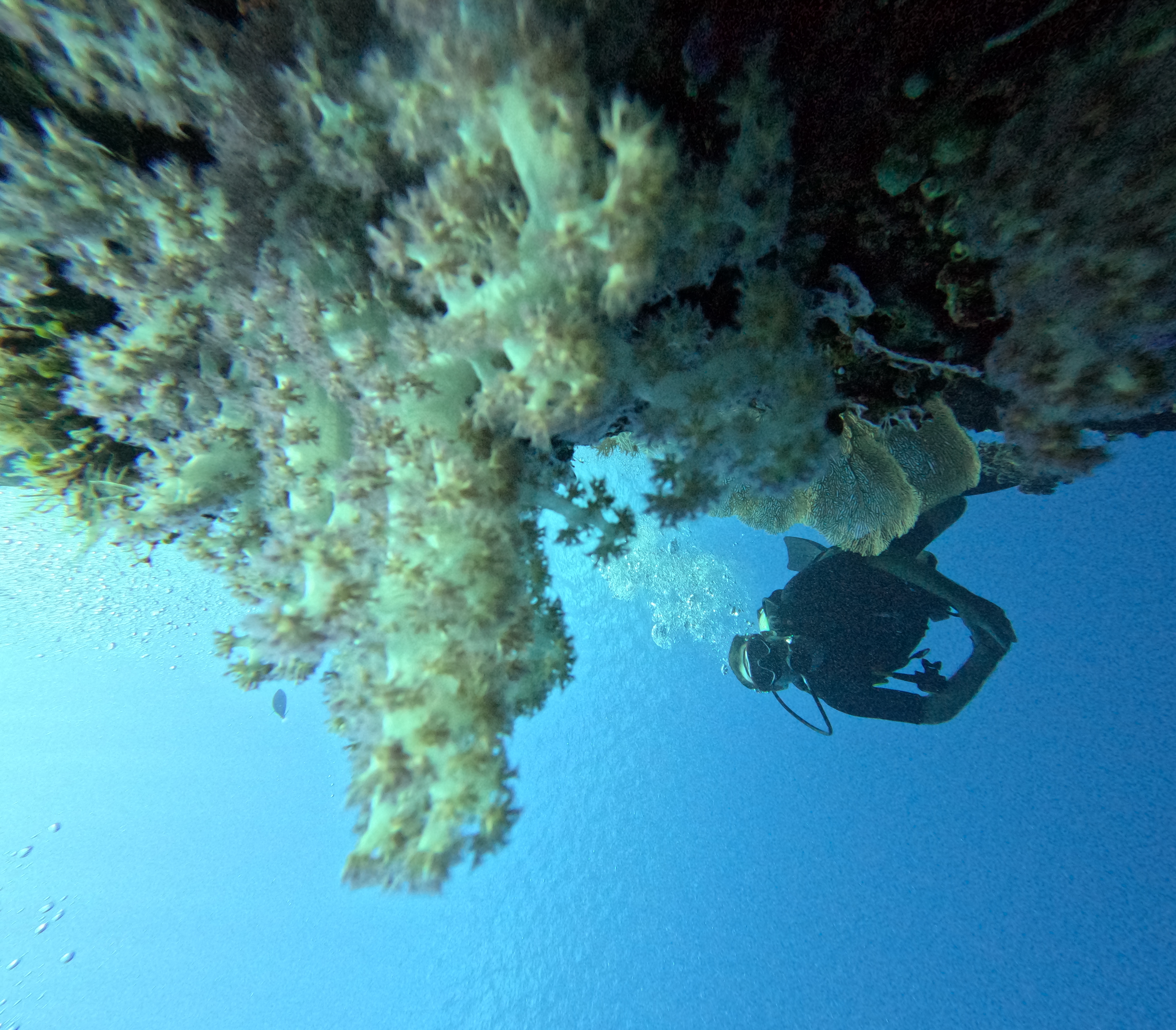 PADI Open Water Course