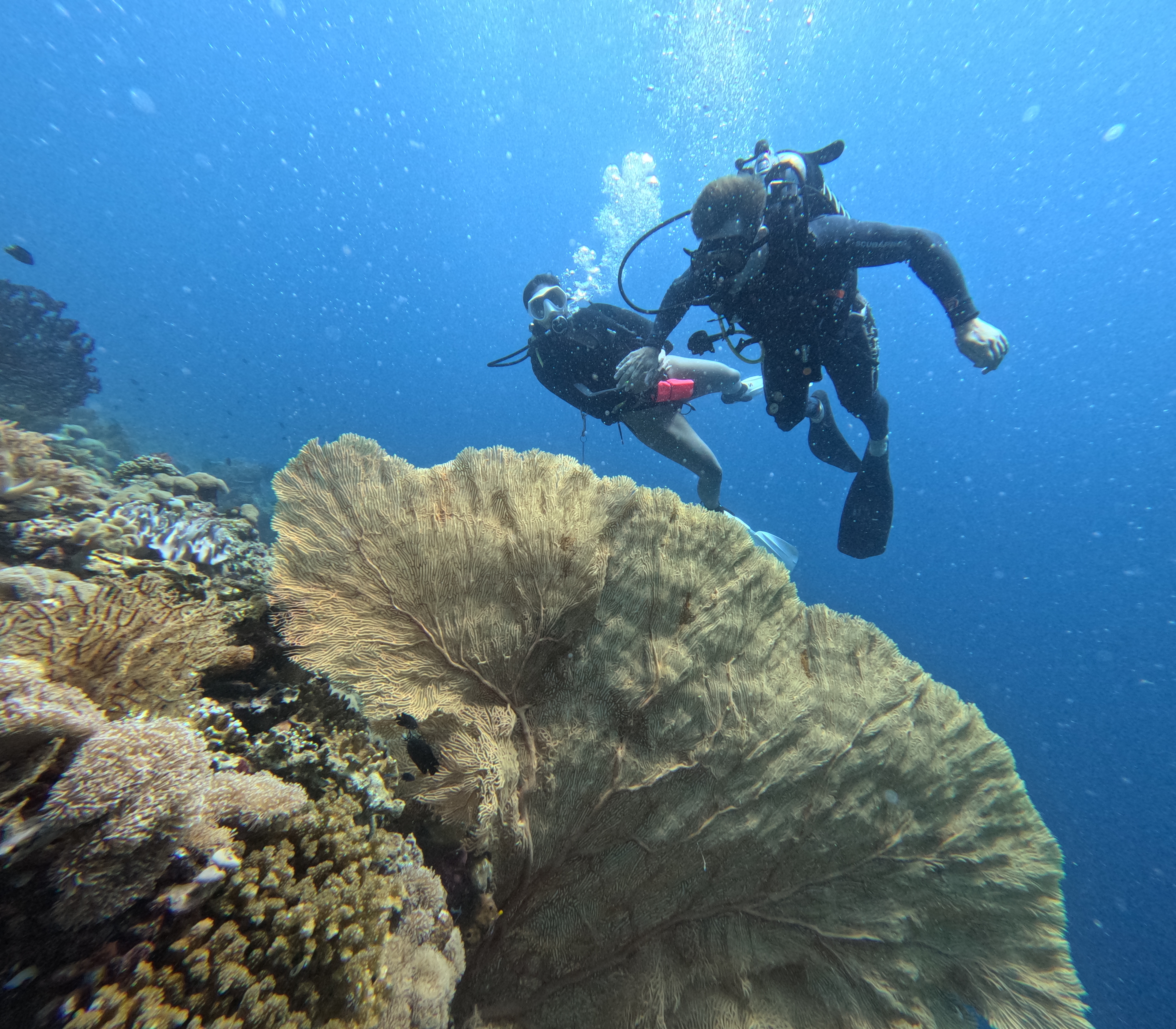 Sunrise Discovery Dive Tulamben