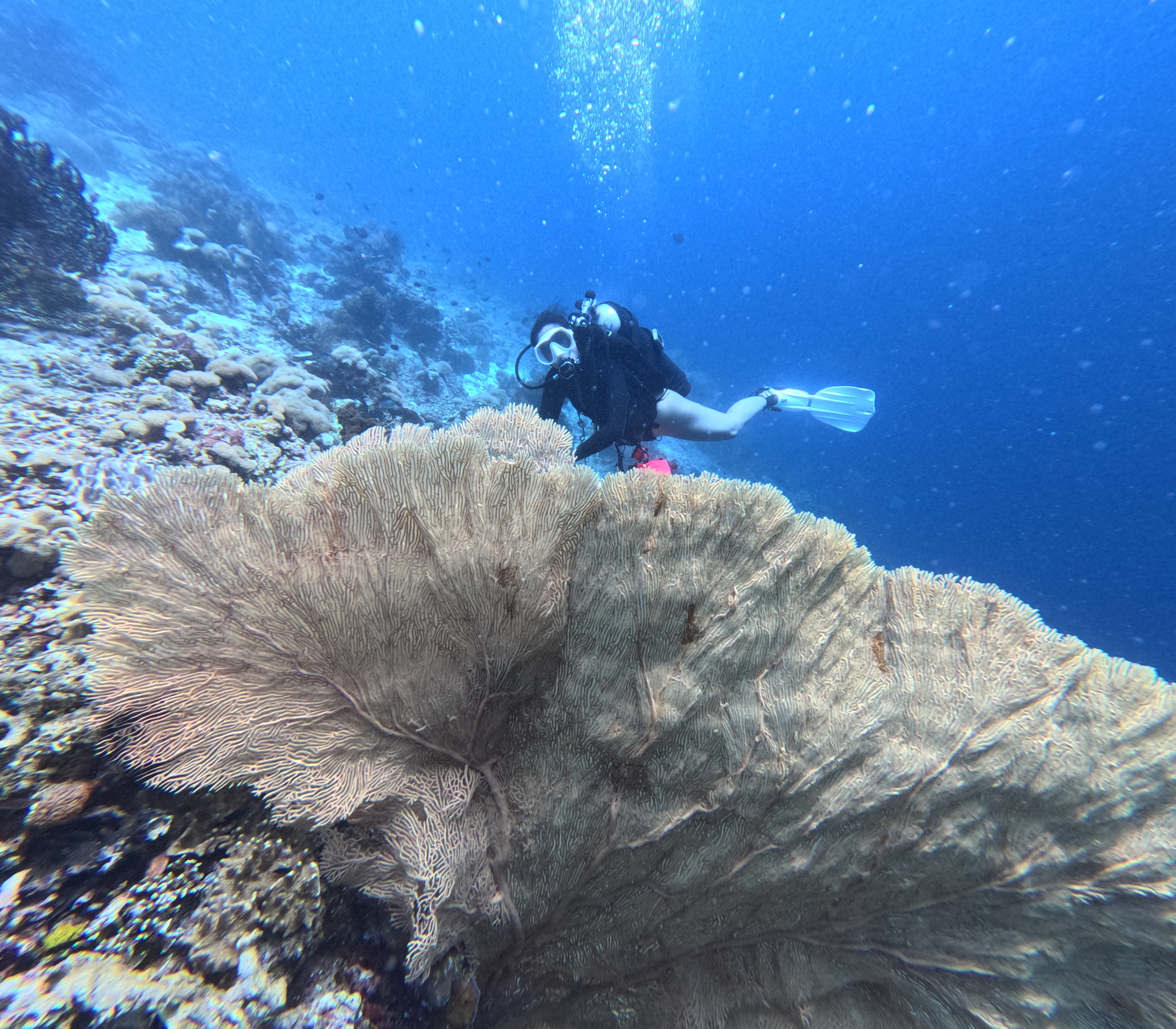 Sunrise Discovery Dive Tulamben