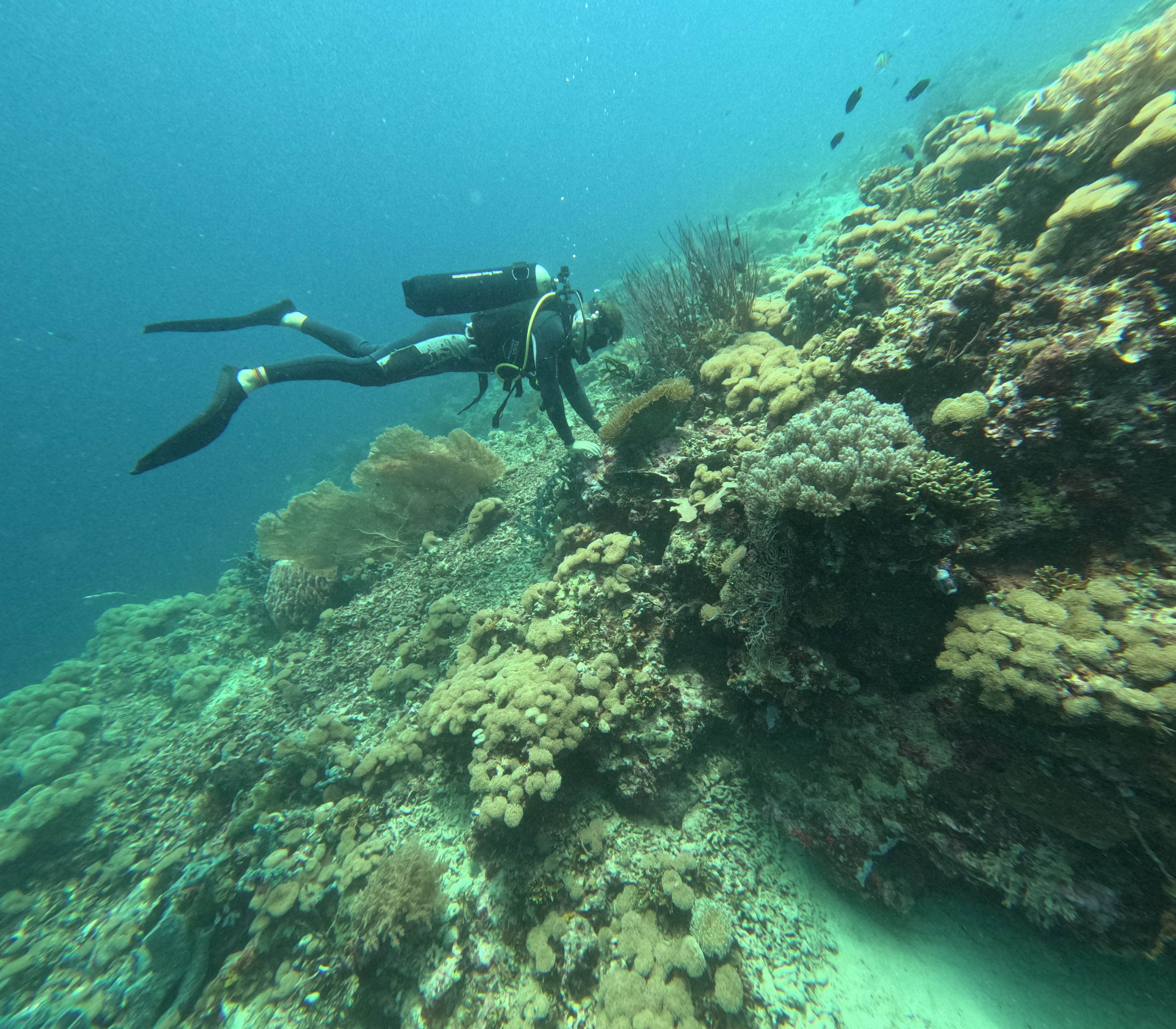 Sunrise Discovery Dive Tulamben