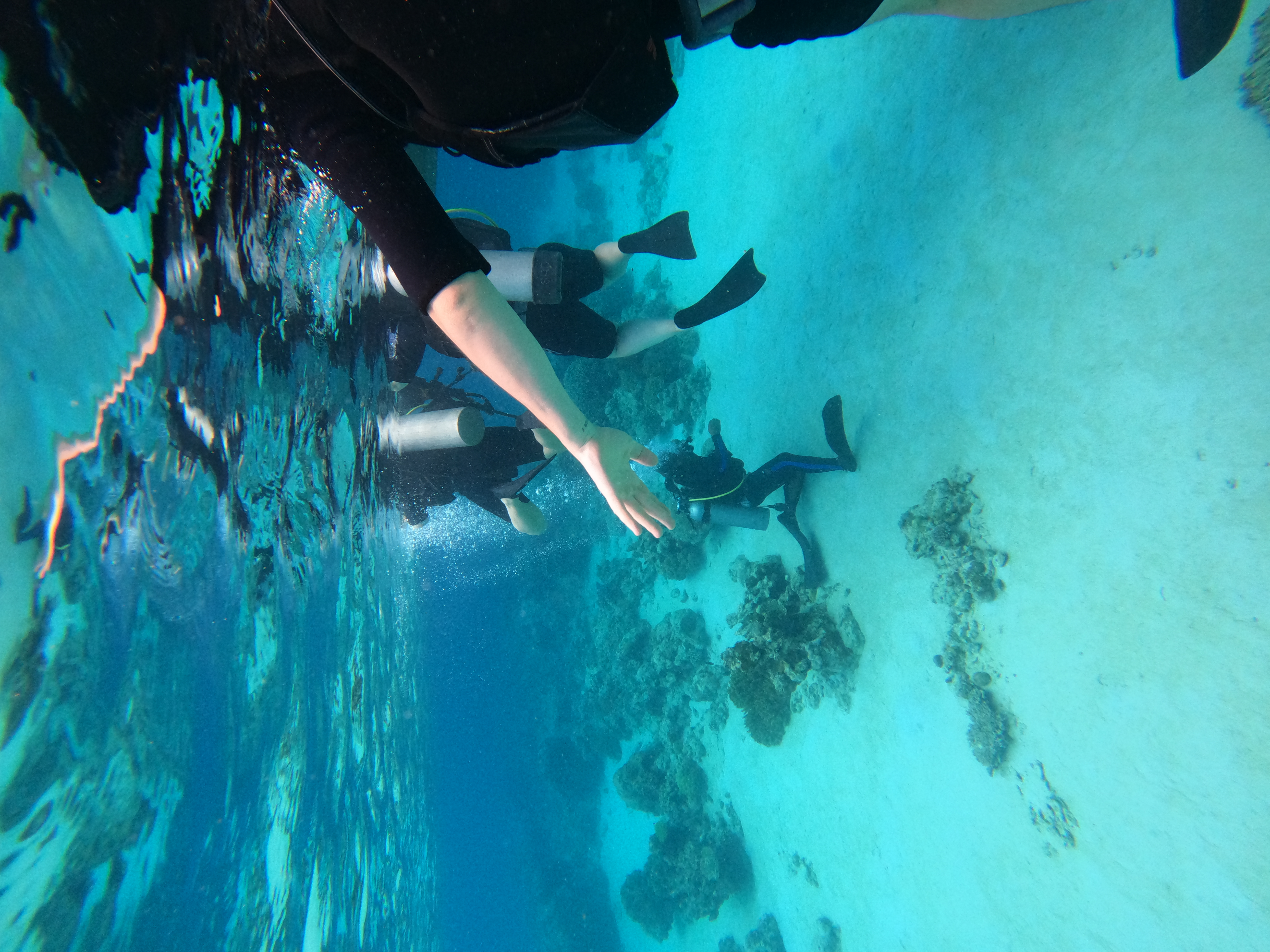 PADI Rescue Diver Course Build Confidence, Save Lives