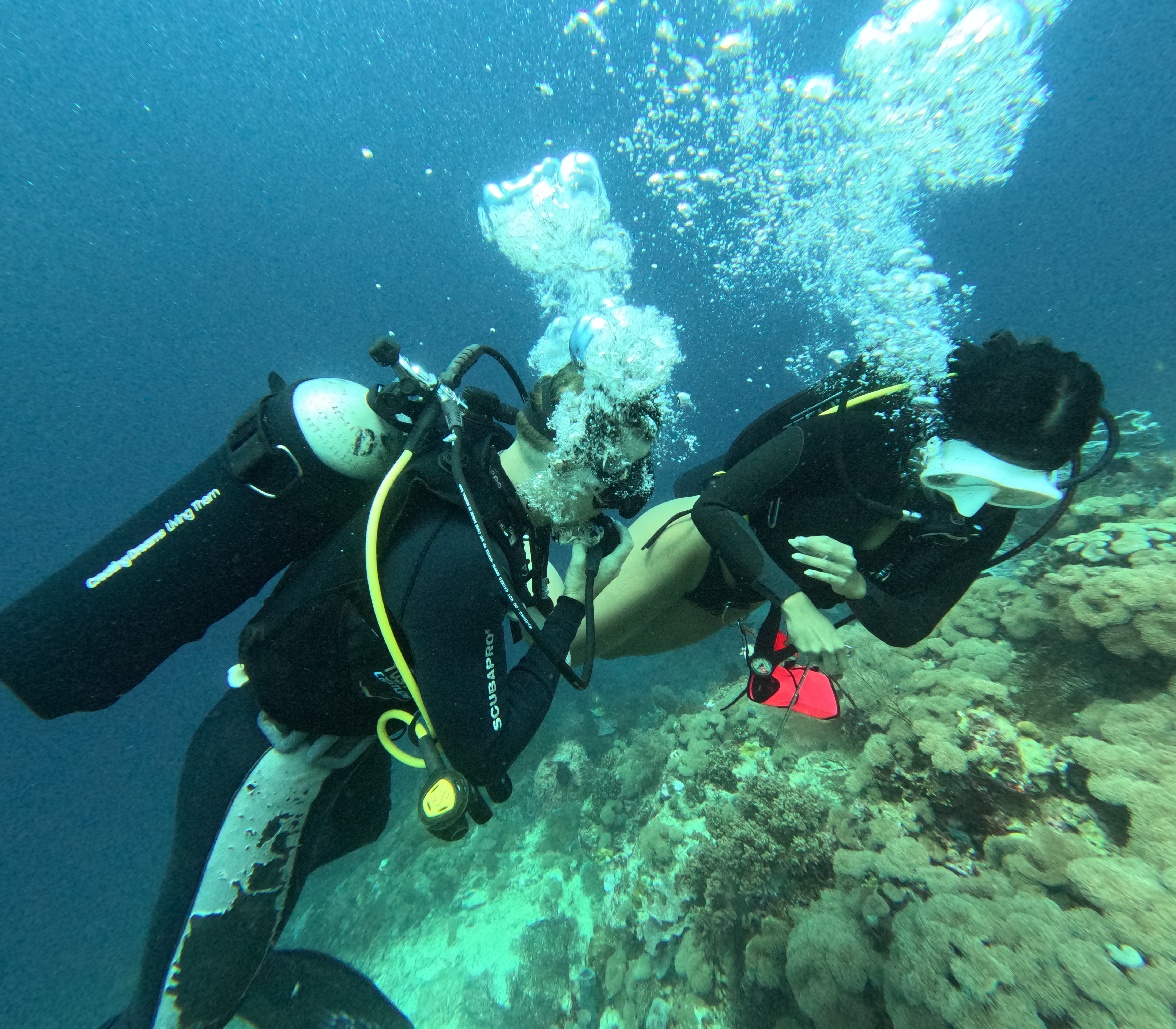 PADI Rescue Diver Course Build Confidence, Save Lives