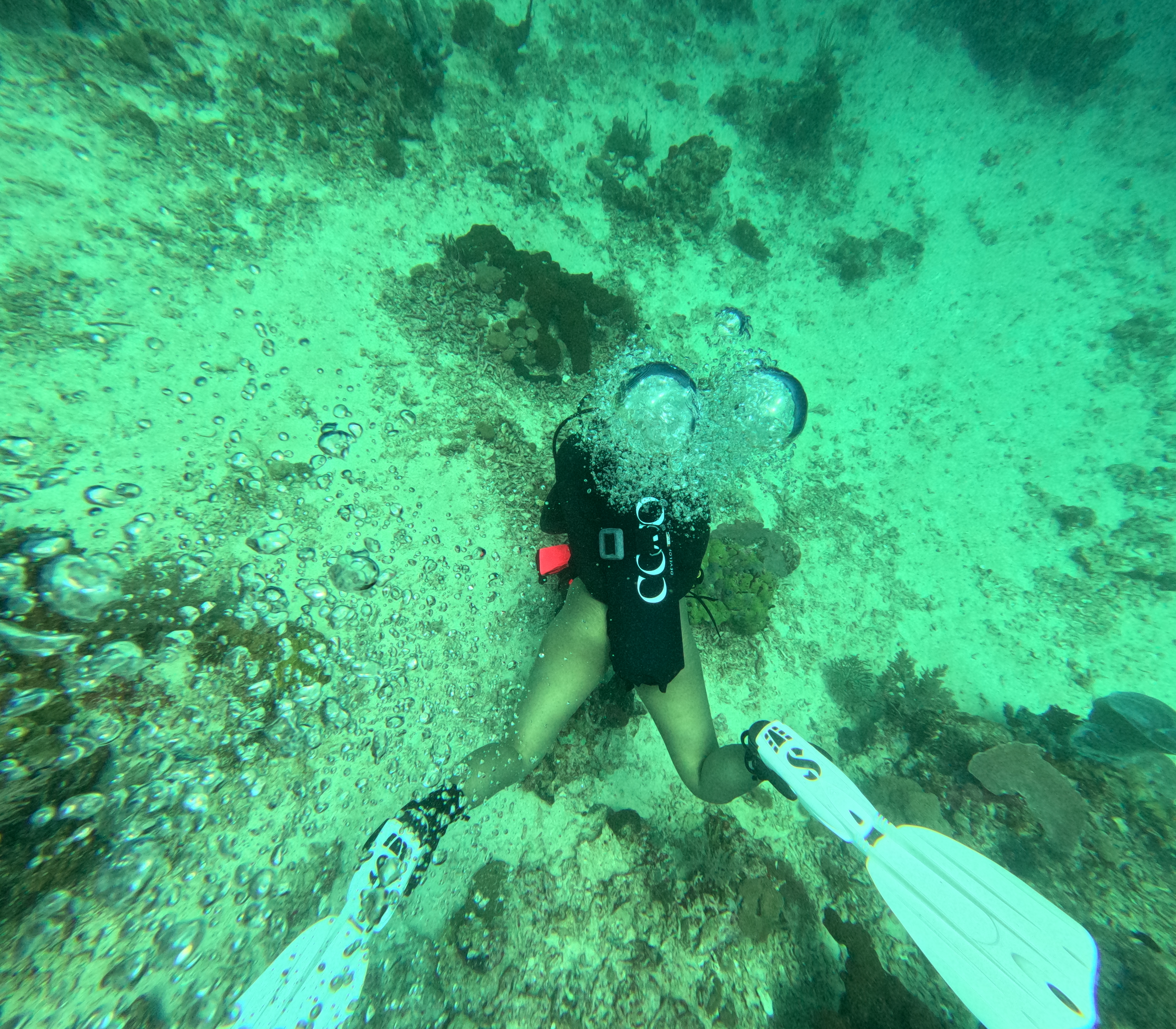 PADI Open Water Course + Advance Course 