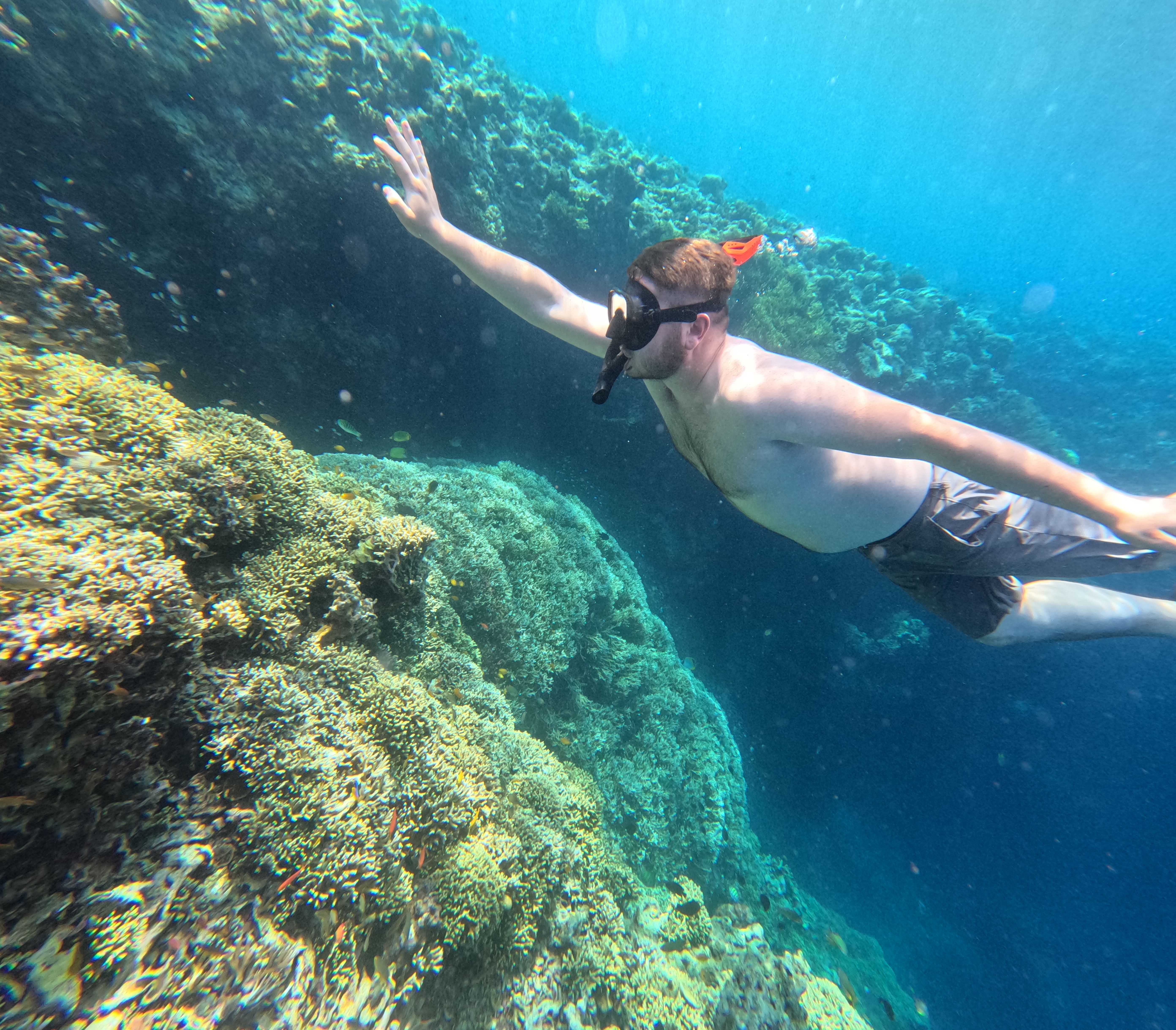 Snorkeling Adventure – Menjangan Island