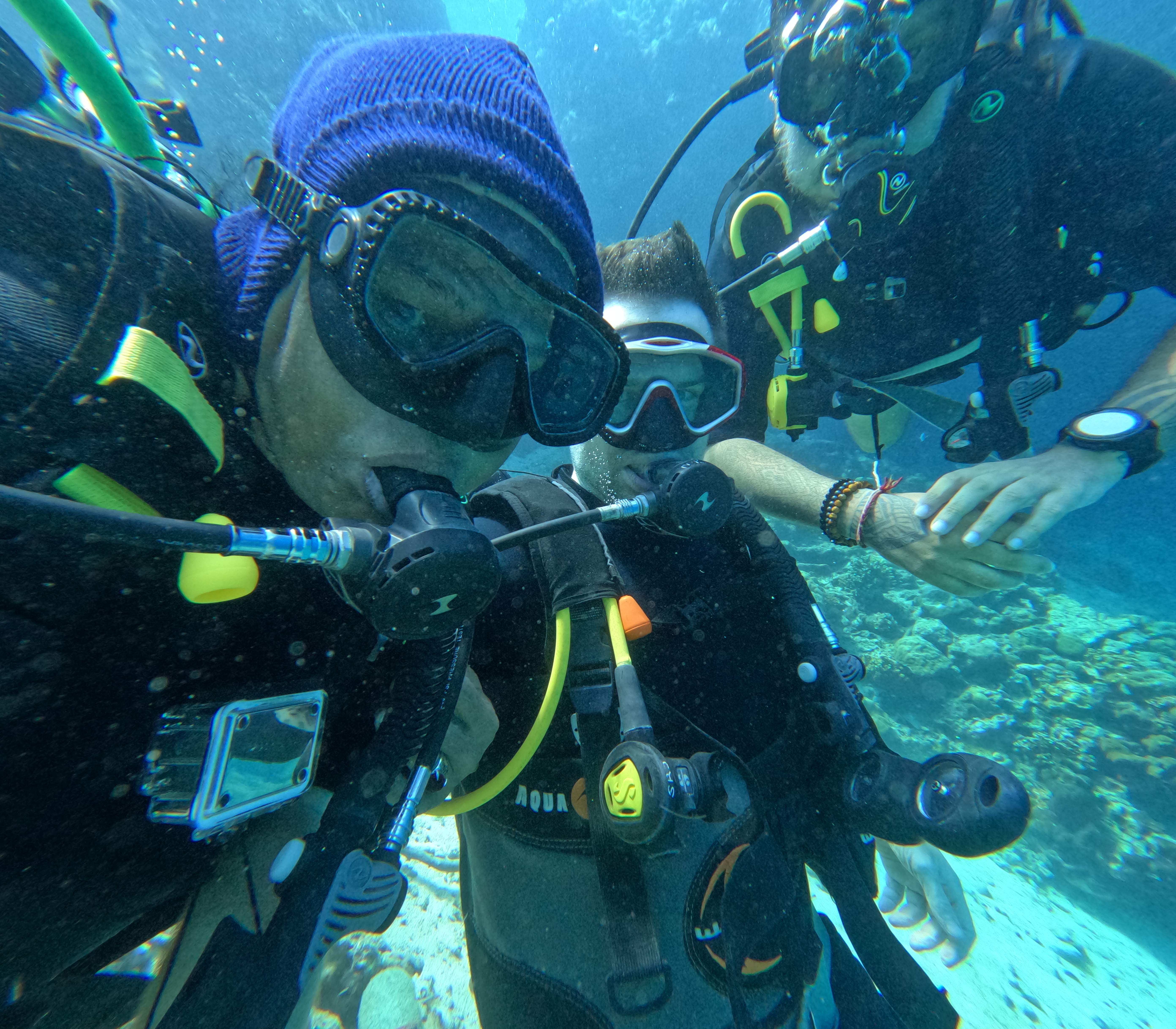 Fun Dive Menjangan Island (Certified Divers)
