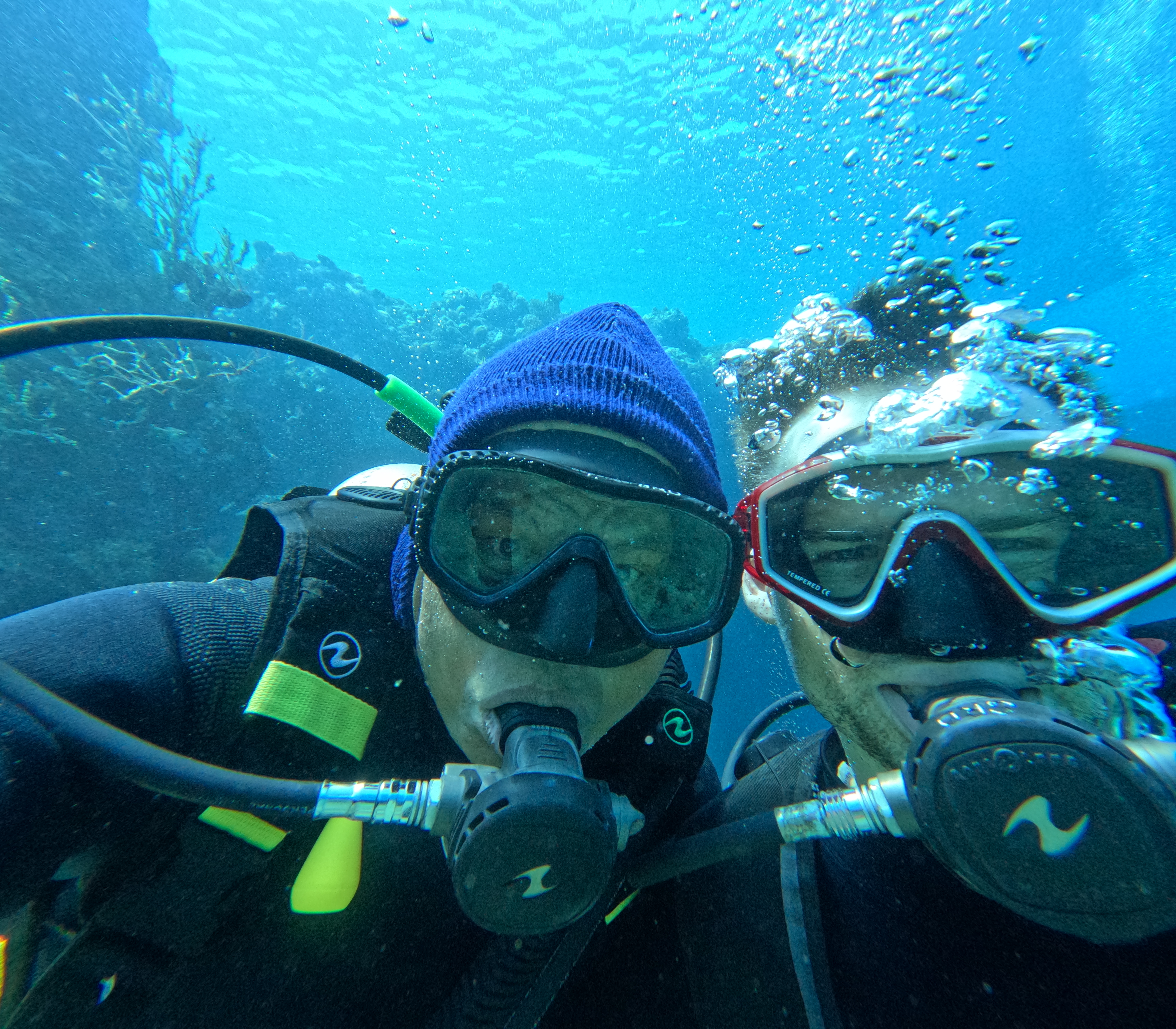 Volkswagen Car Cemetery Dive Lovina Reef