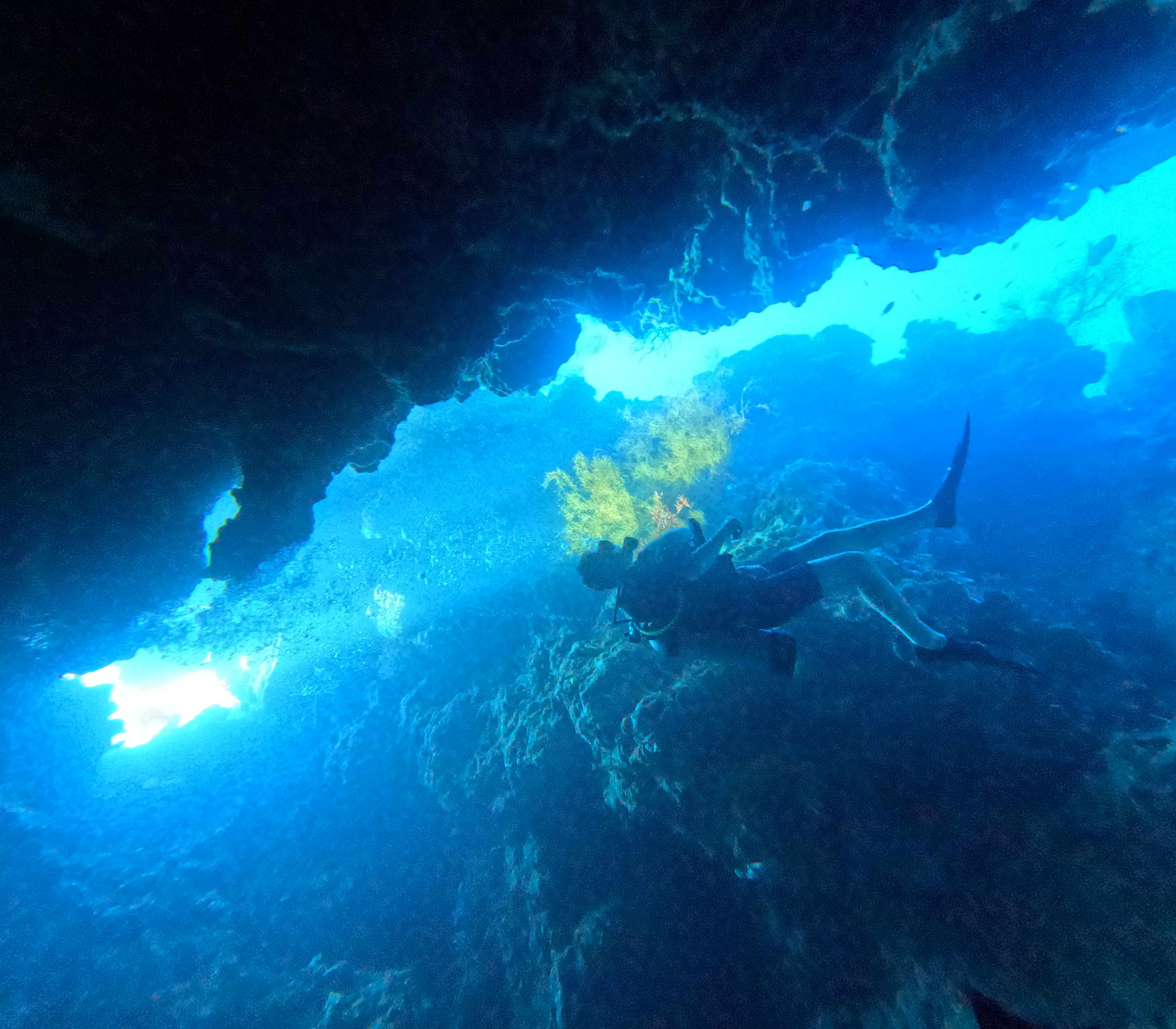  Night Dive Discover Bali After Dark