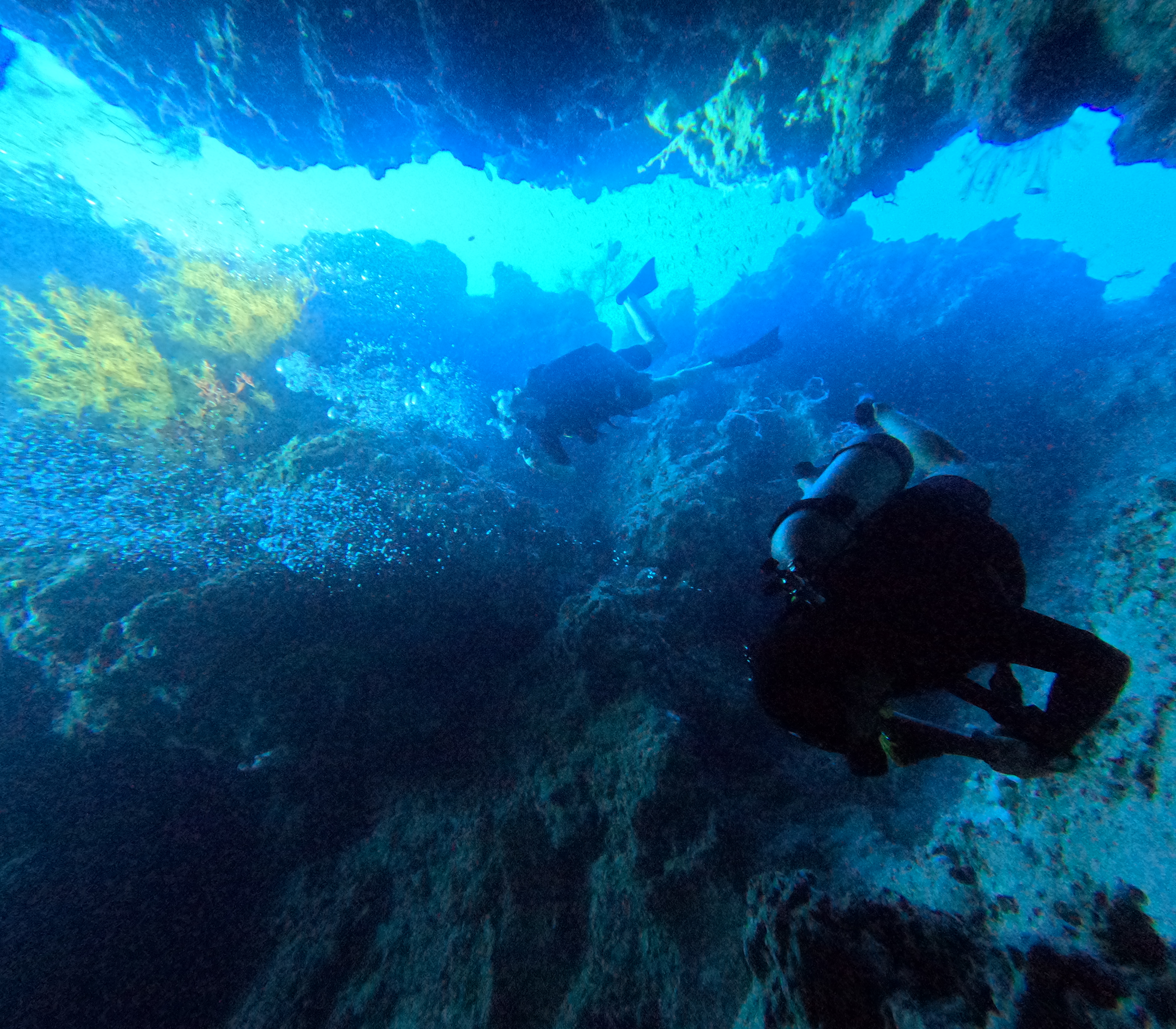 PADI Refresher (ReActivate) Course Refresh Your Dive Skills