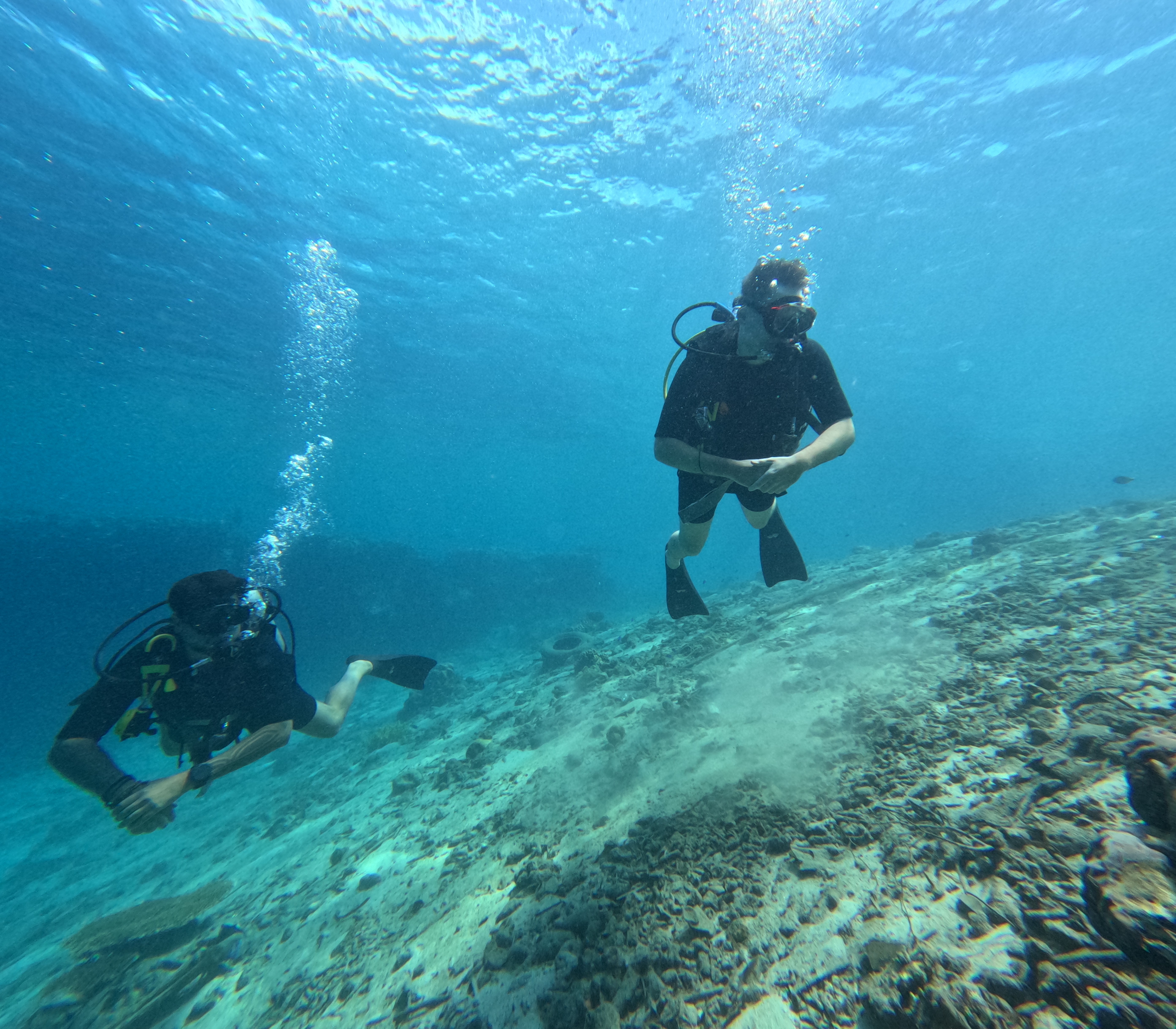 PADI Refresher (ReActivate) Course Refresh Your Dive Skills