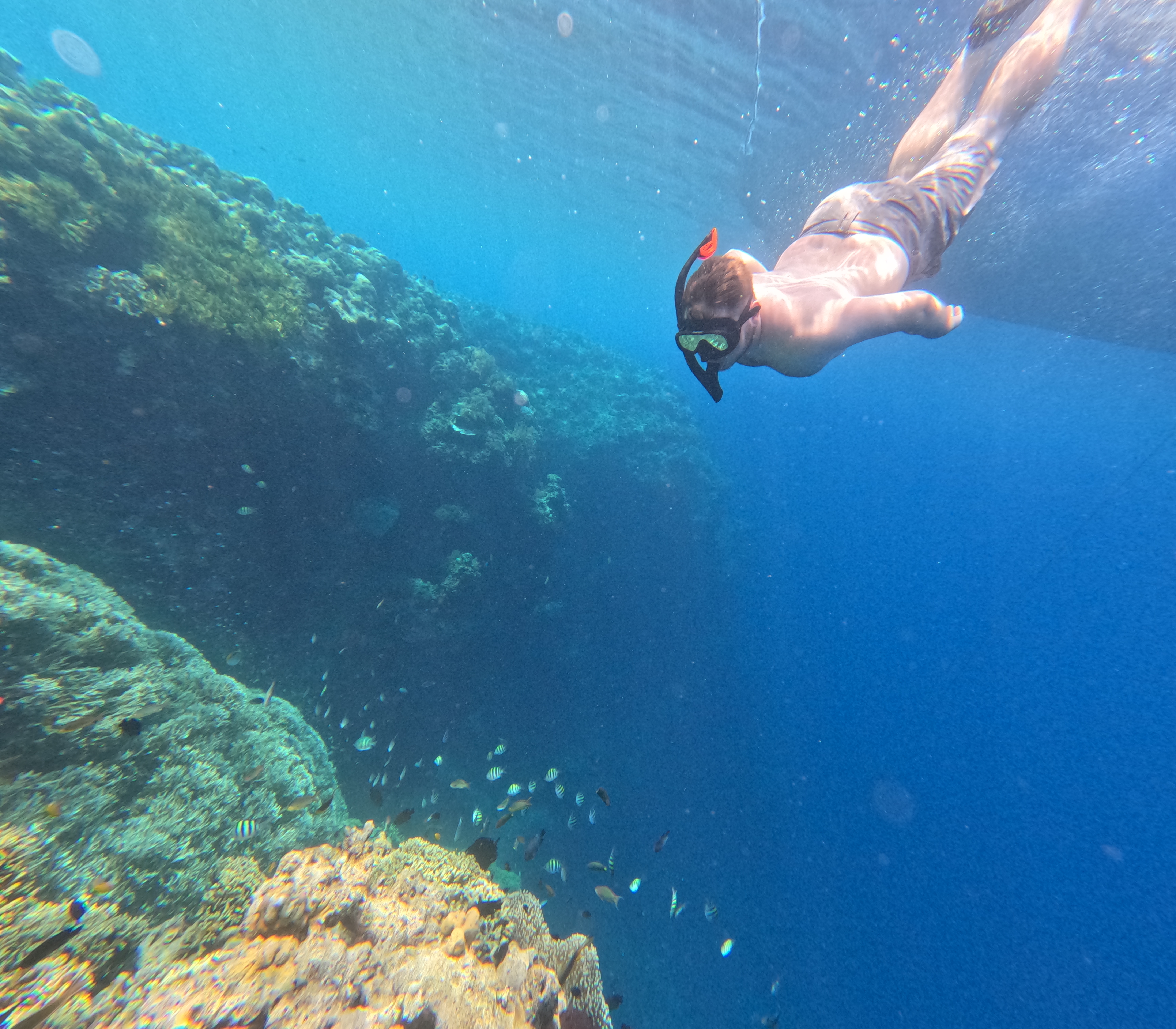 📸Dive And Chill Underwater Photo + Video Package