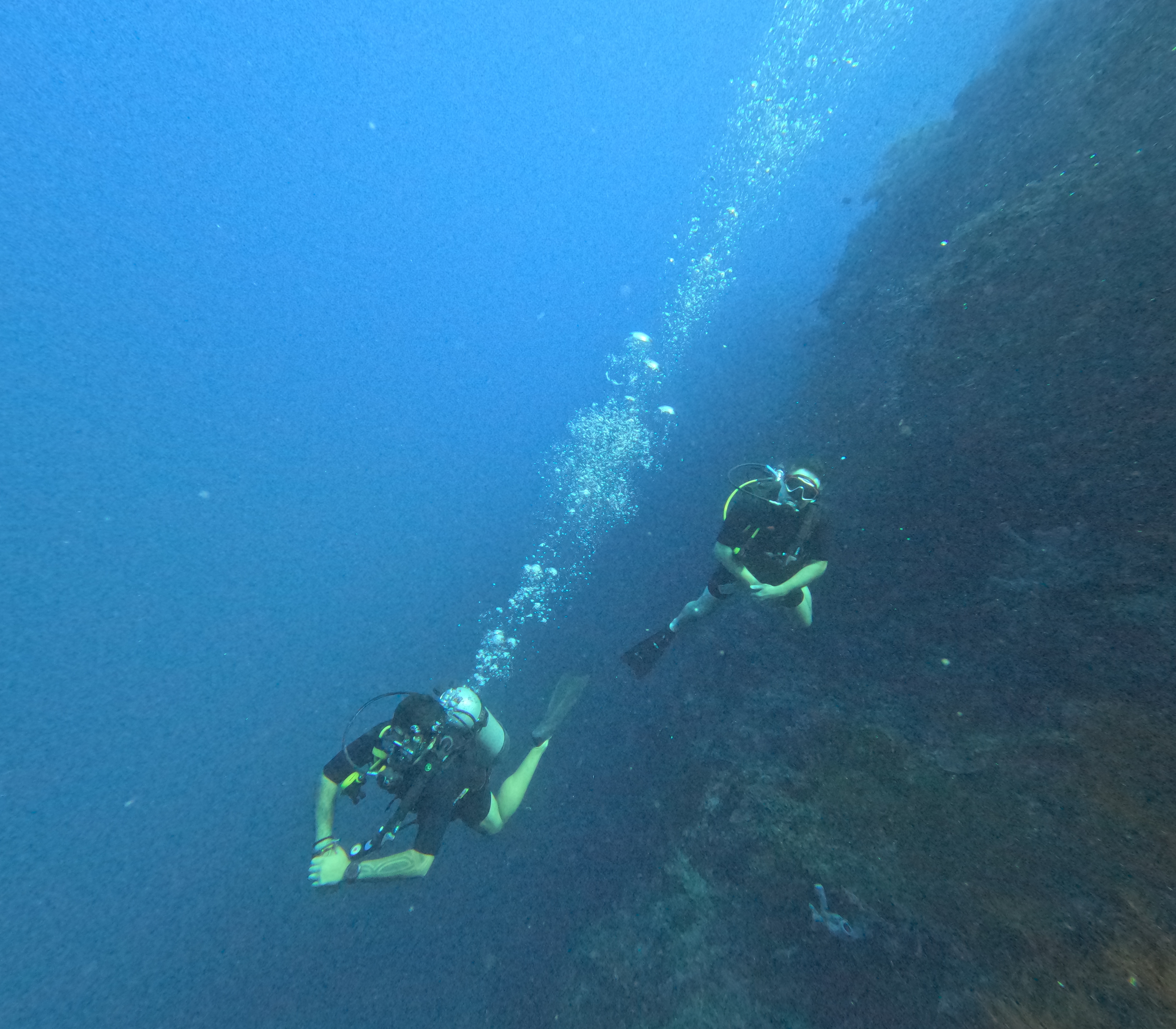 Snorkel or dive in paradise with a GoPro & guide perfect for social media creators