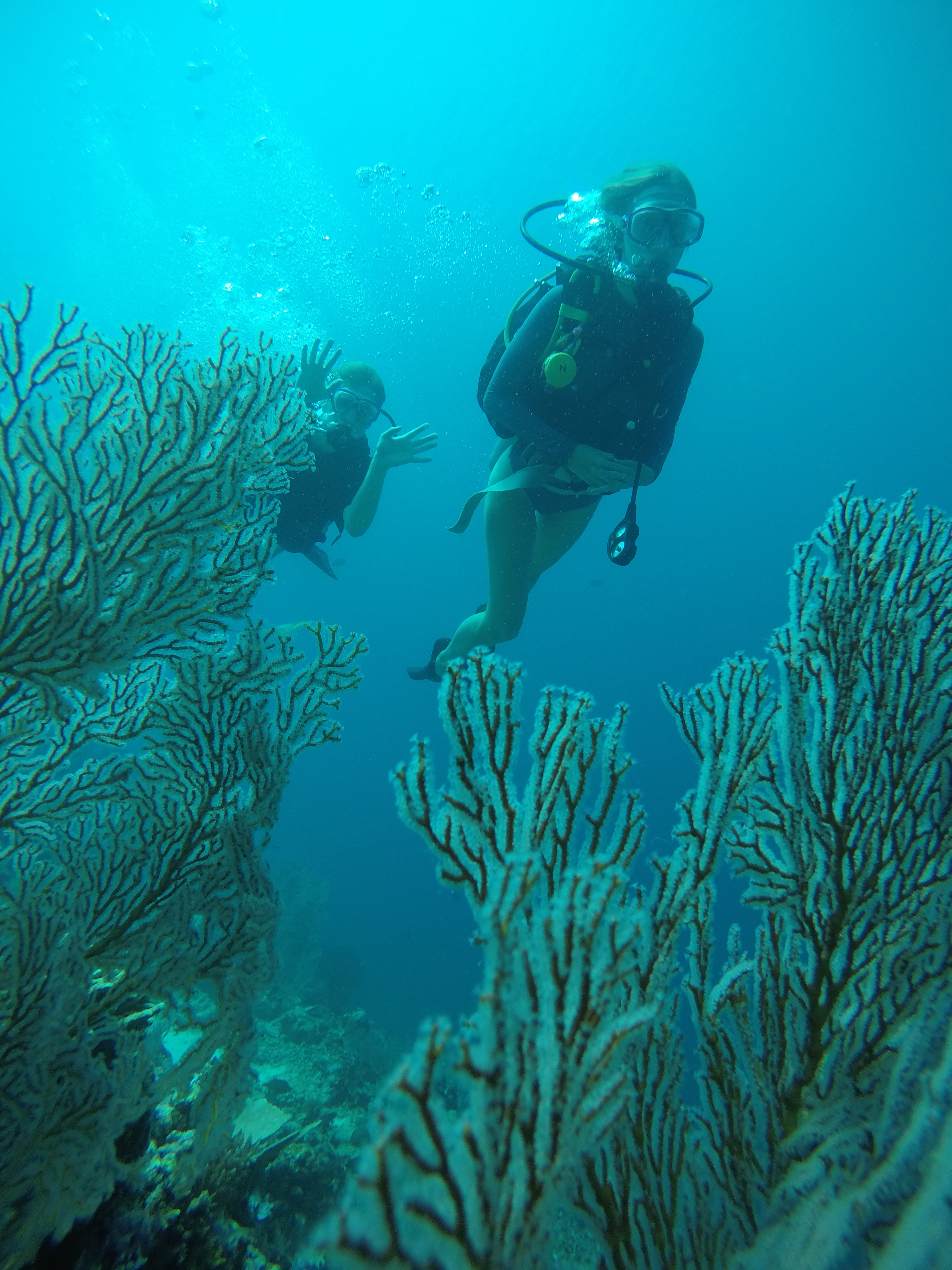 Tulamben Explorer: Day & Night 3 Dive Adventure