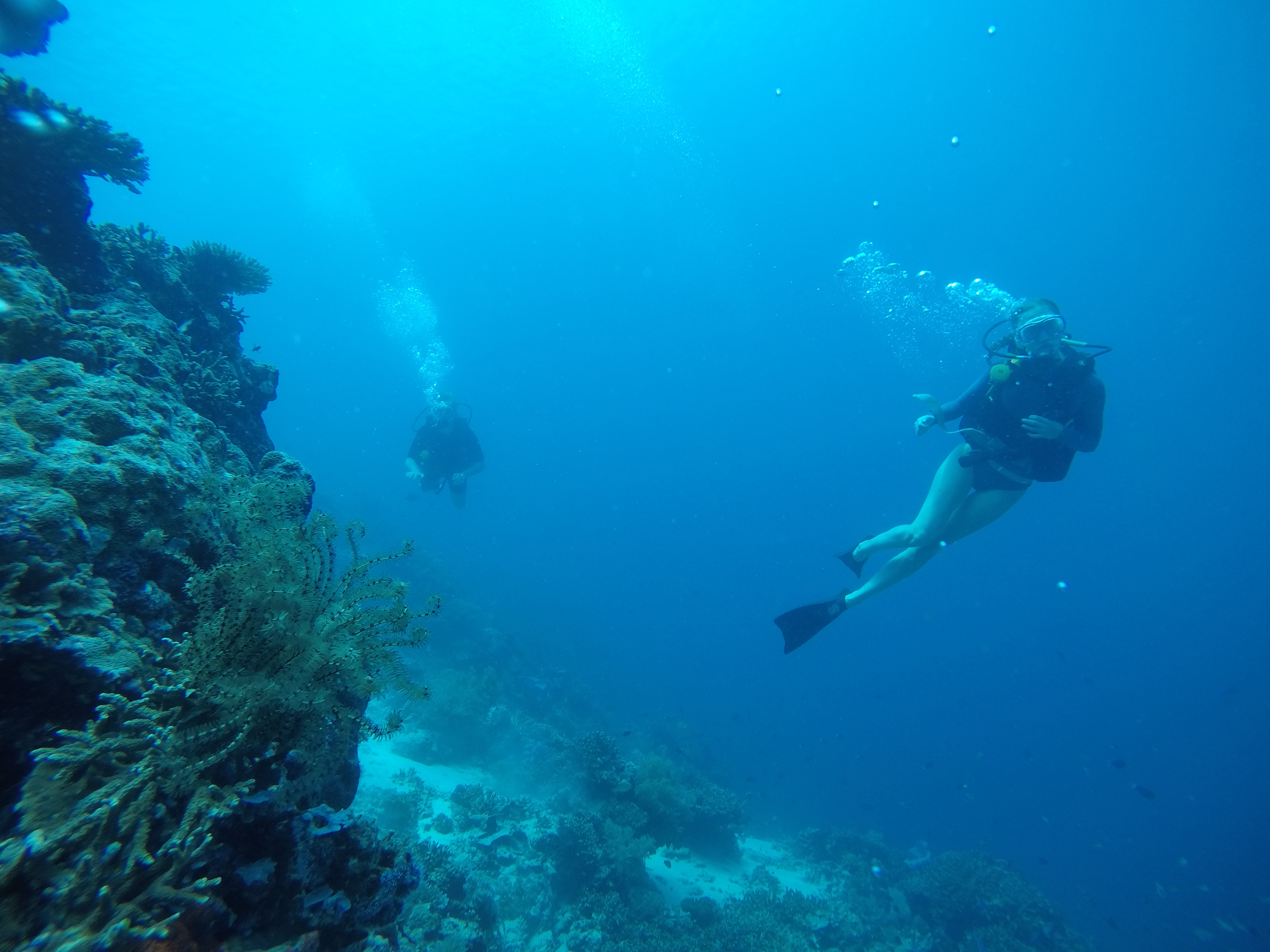 Tulamben Explorer: Day & Night 3 Dive Adventure