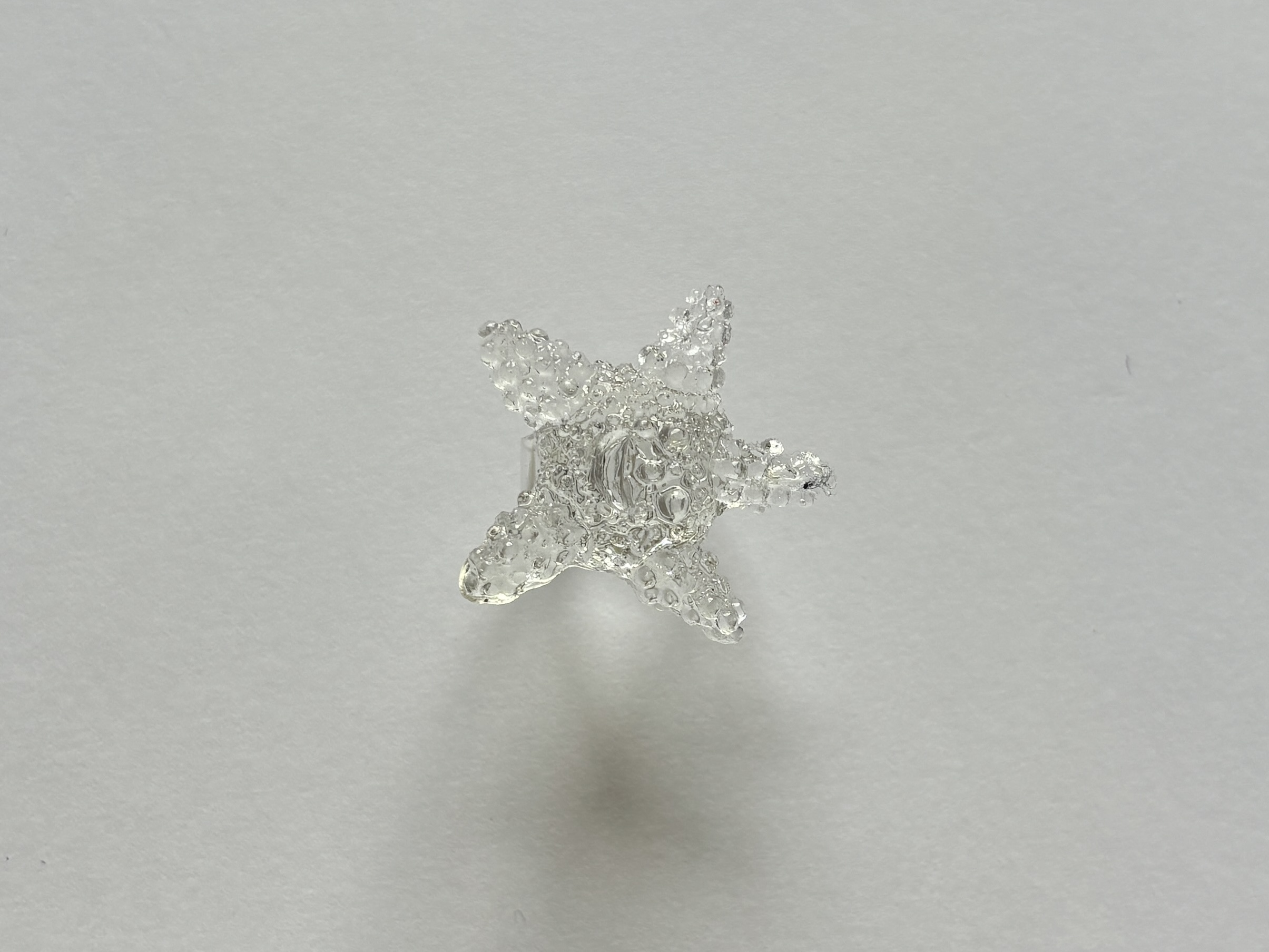 Sea Star Ring 
