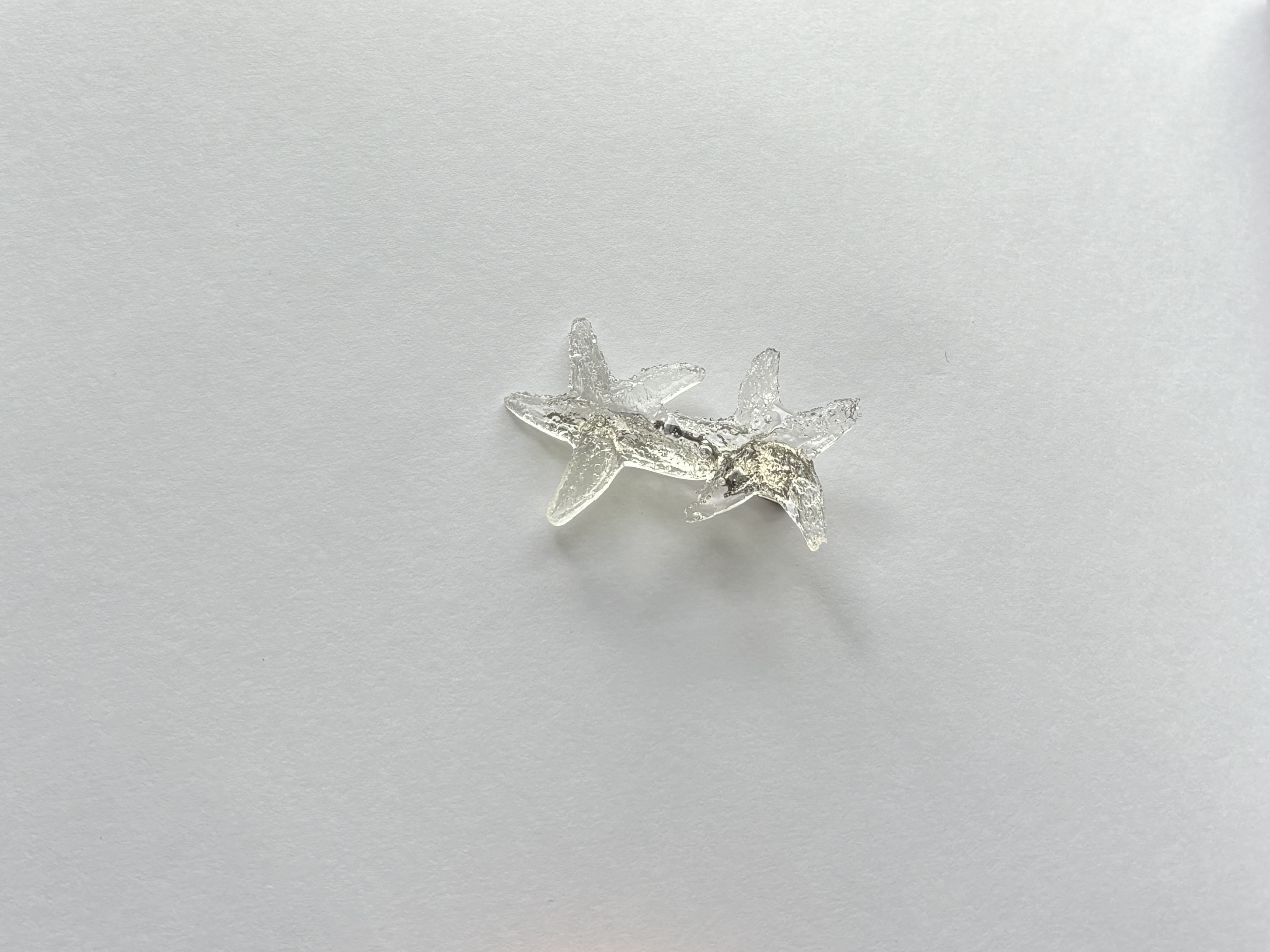 Double Sea Star Clip