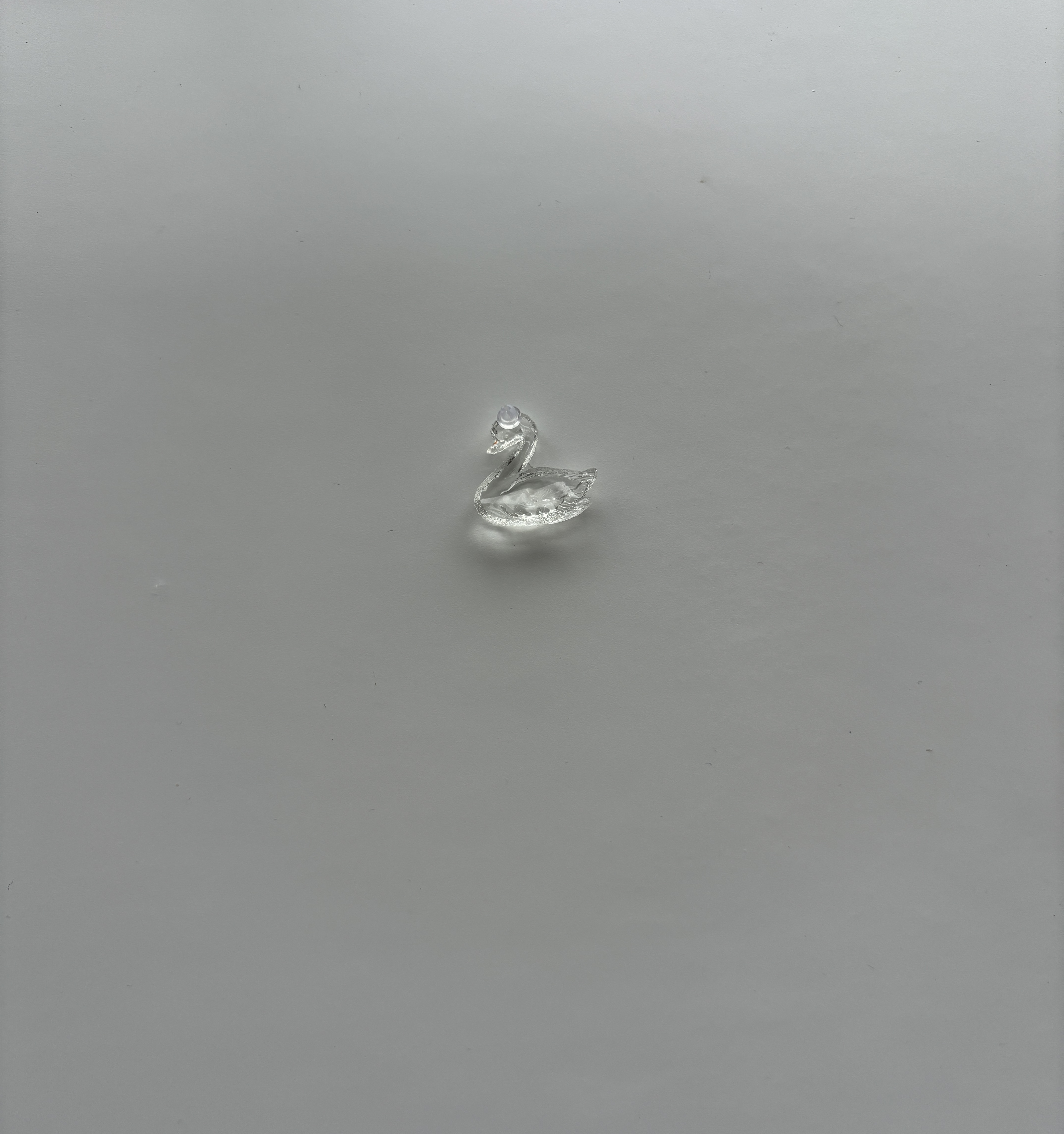 Swan Stud 
