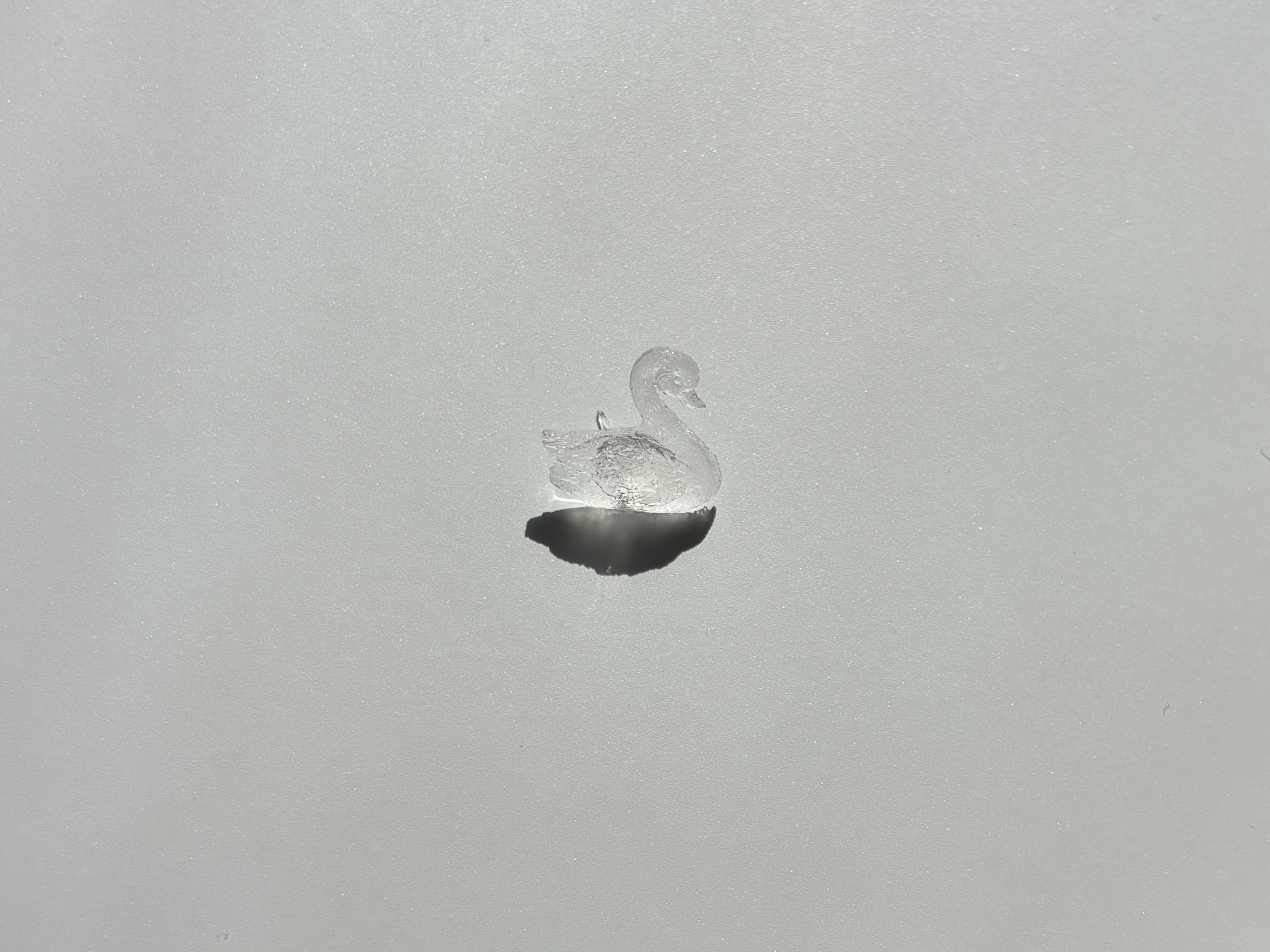 Swan Stud 