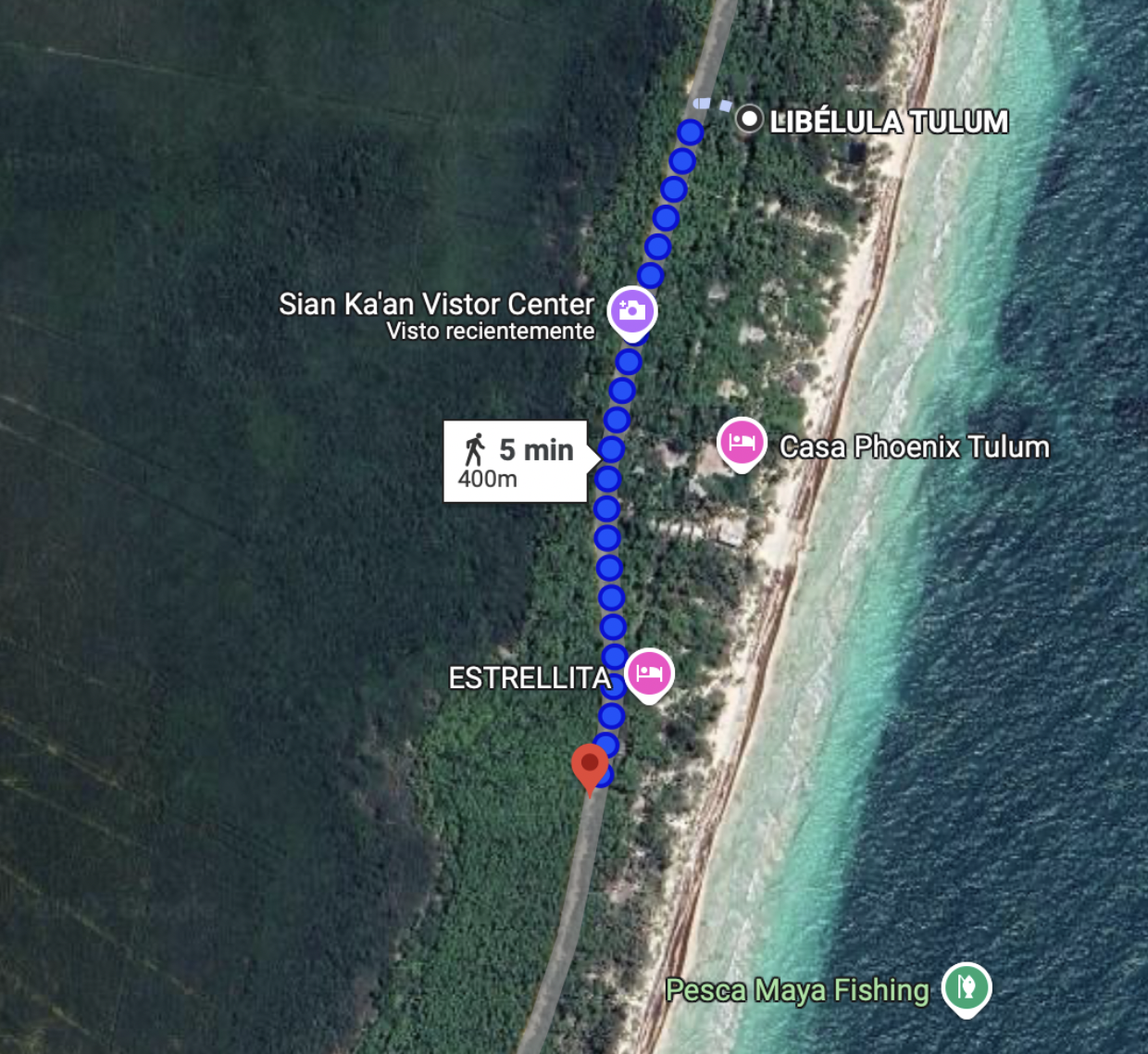 Luxury Oceanfront Property in Sian Ka'an