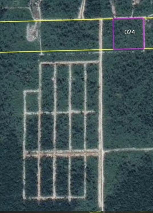 1 Hectarea Región 11 Lote 024 Mz 787