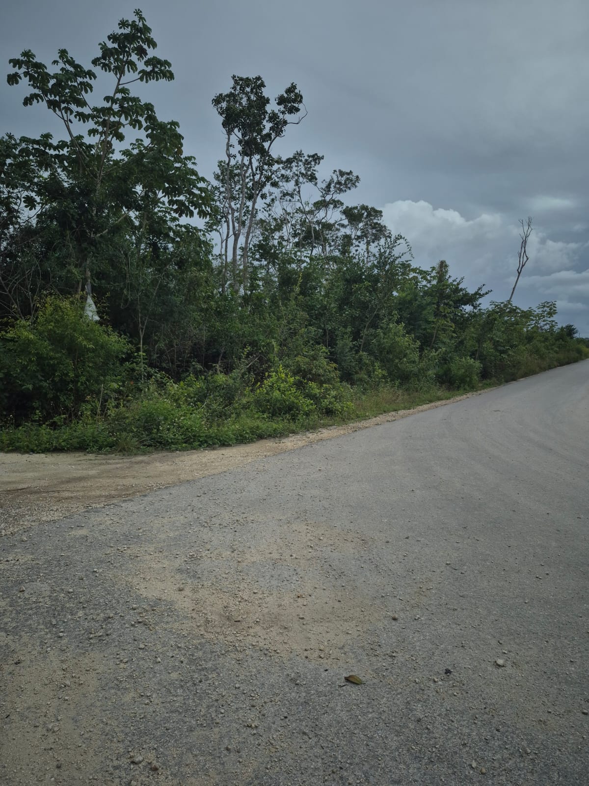 1 Hectarea Región 11 Lote 024 Mz 787