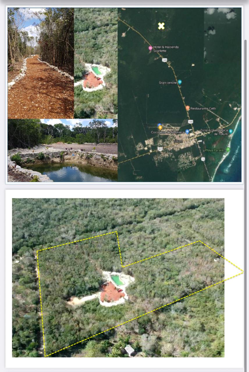 Se Vende Propiedad con 2 Hectareas y Cenote Abierto