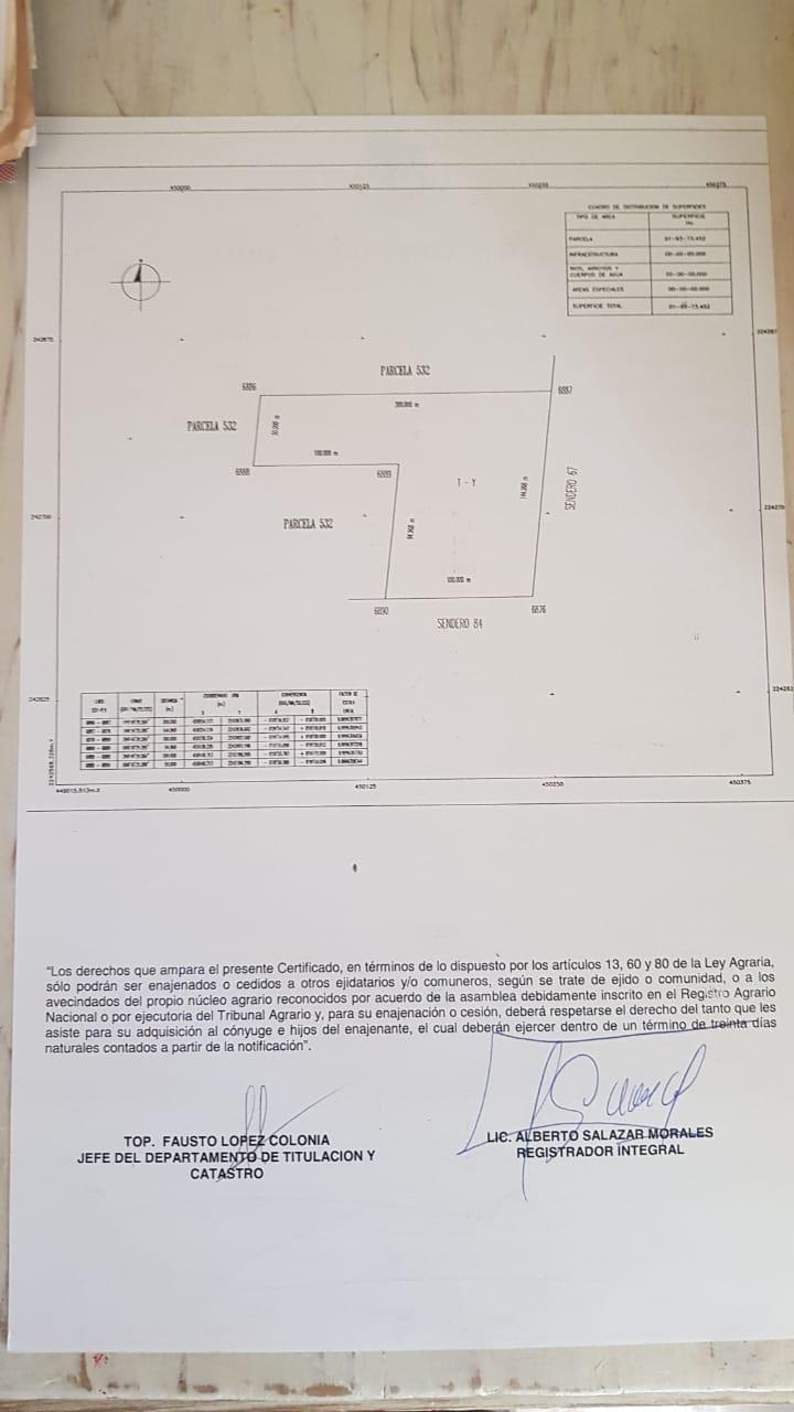 Se Vende Propiedad con 2 Hectareas y Cenote Abierto 