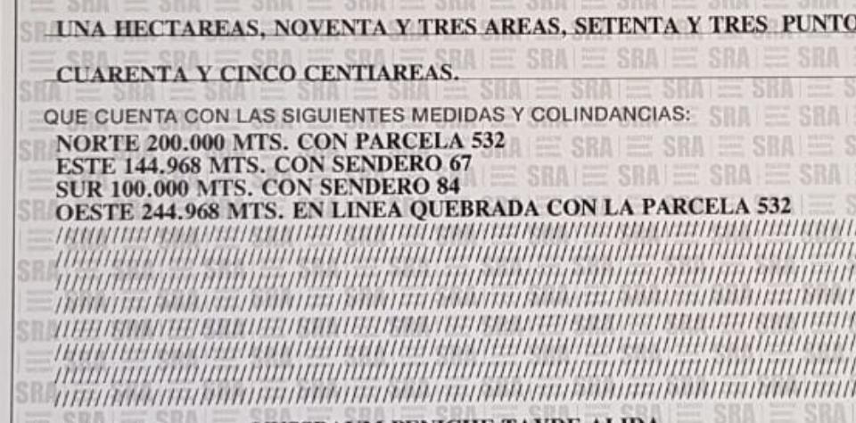 Se Vende Propiedad con 2 Hectareas y Cenote Abierto 