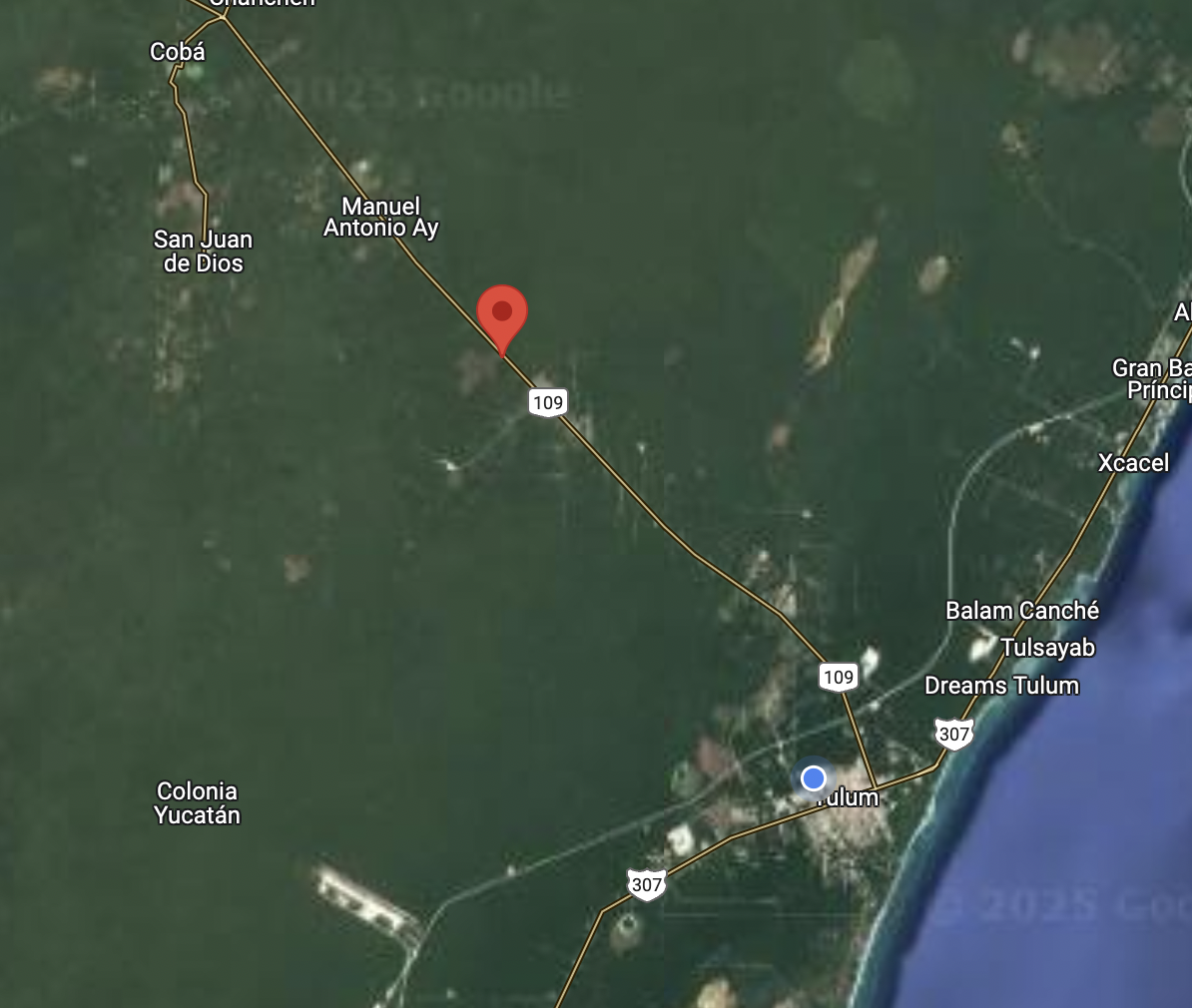 Land for Sale on Tulum-Cobá Highway 7.5 Hectareas