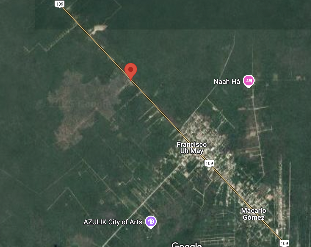 Land for Sale on Tulum-Cobá Highway 7.5 Hectareas