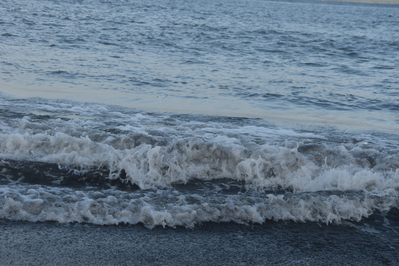 Indonesian Nature Photography Collection