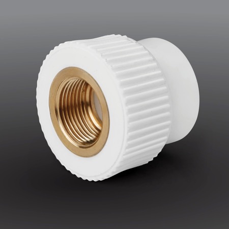 Duromax PPr Female Threaded Socket