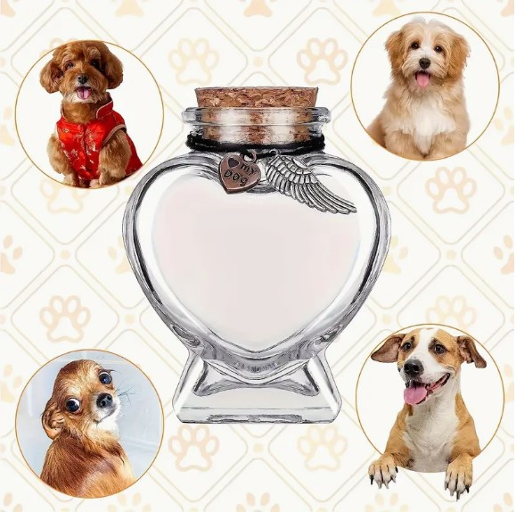 1pc Memorial Bottle for Cat Pet Hair