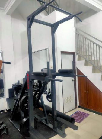 Pull-Up and Dip Station