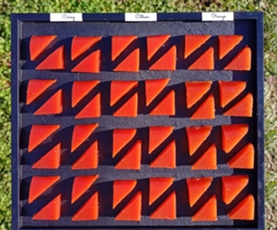 Plateau évènements