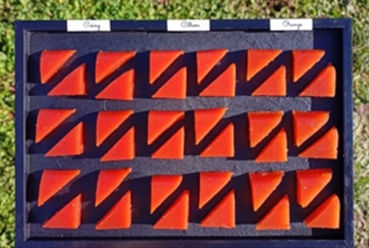 Plateau évènements