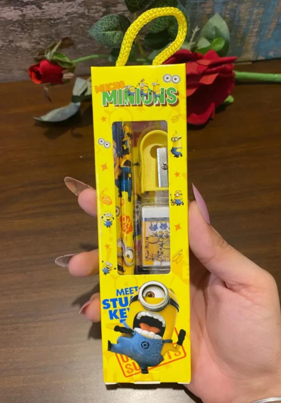 5 in 1 minion pencil kit