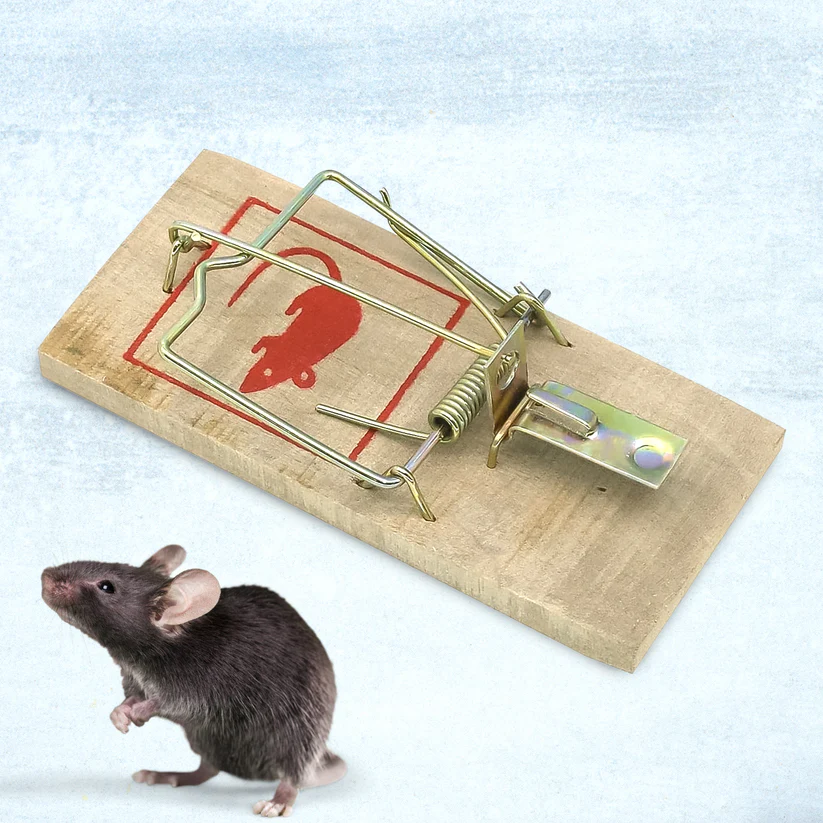 Wooden Mouse Rat Traps