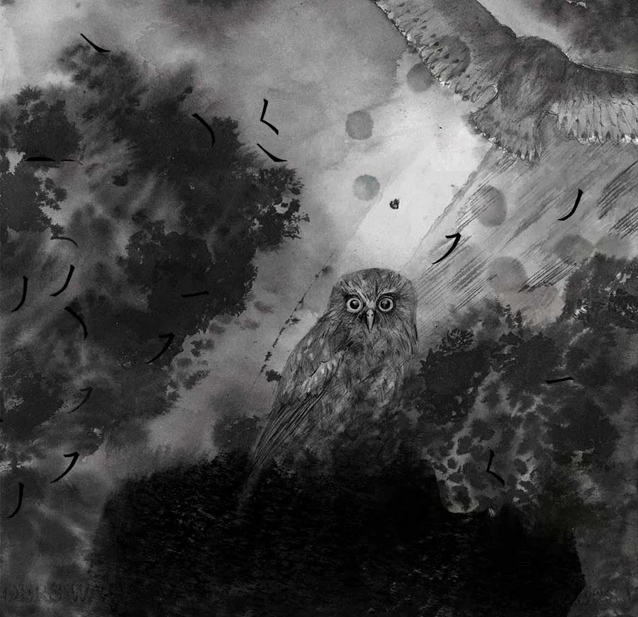 Ka rere he ruru ki te tairawhiti