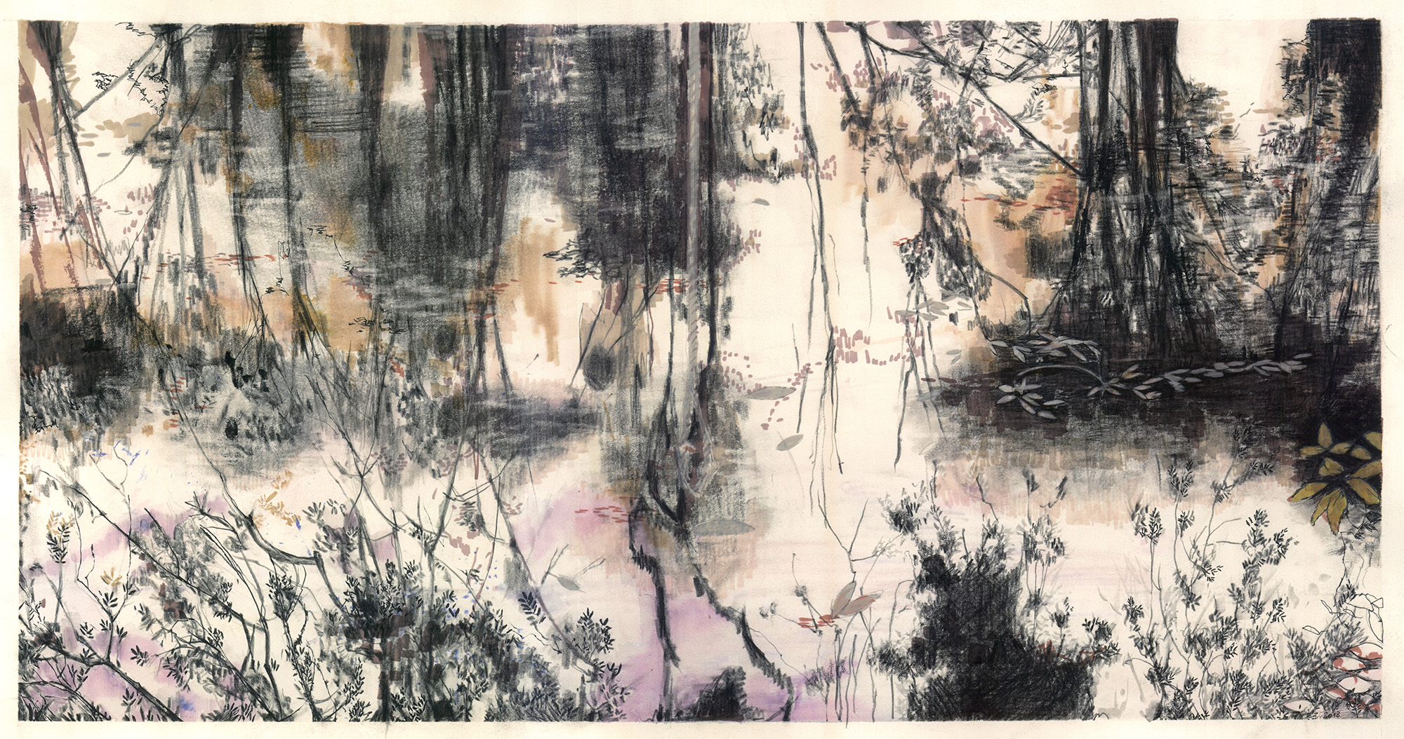 River with Hanging Rope