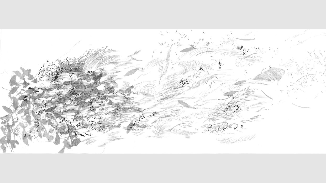 Dust: Manu Fly to the Sea