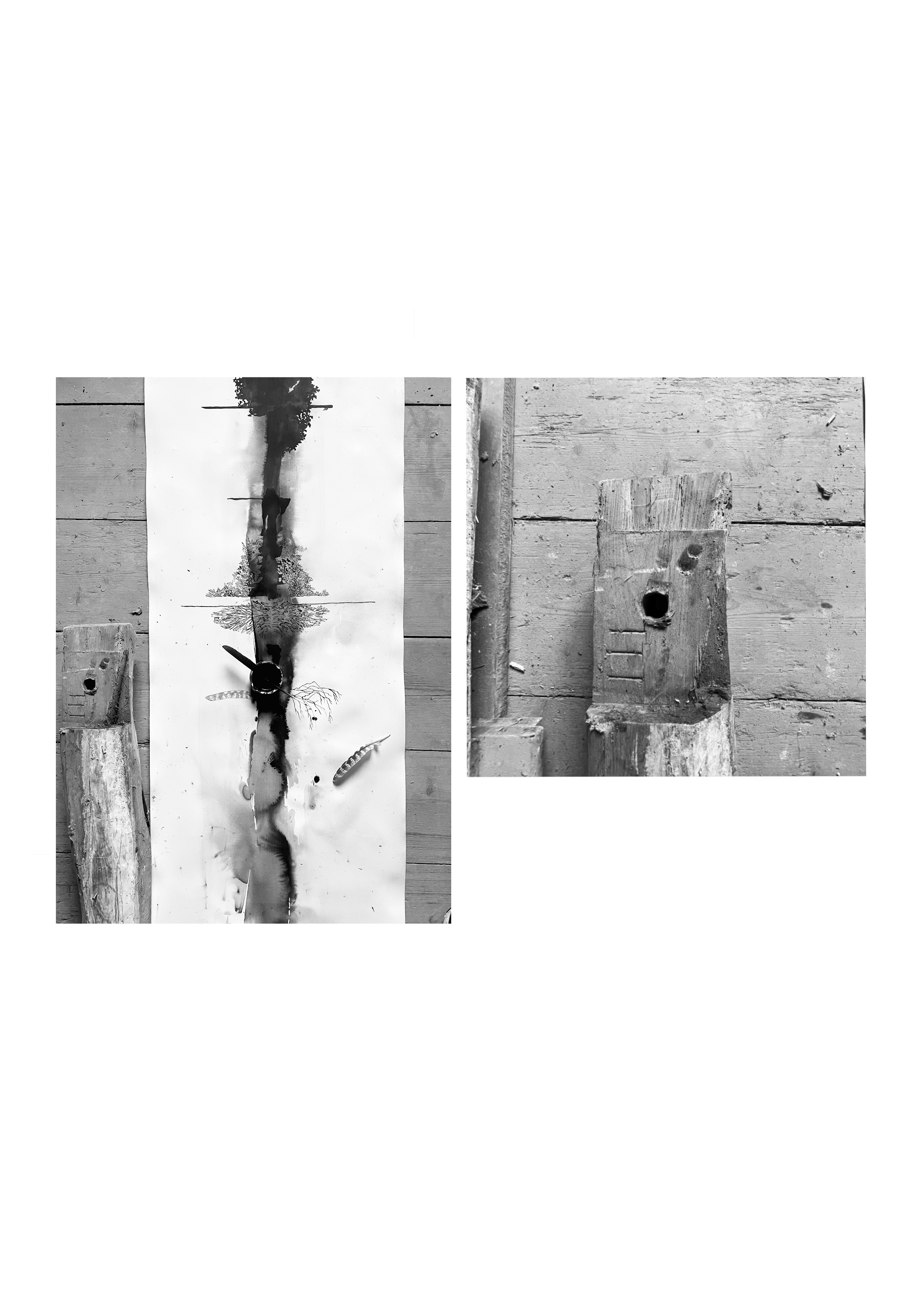 Humus: Manu Fly to the Sea