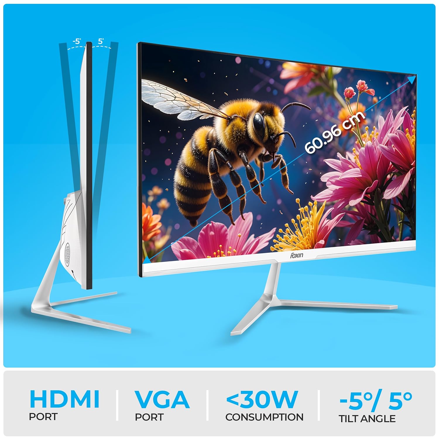Foxin 24 Inch Full HD LED Monitor (1920 x 1080) Elite Series | IPS Panel | 100Hz | True Pixel | Anti-Glare & Flicker Free | Frameless | 16.7 Million Colors | Elite Series
